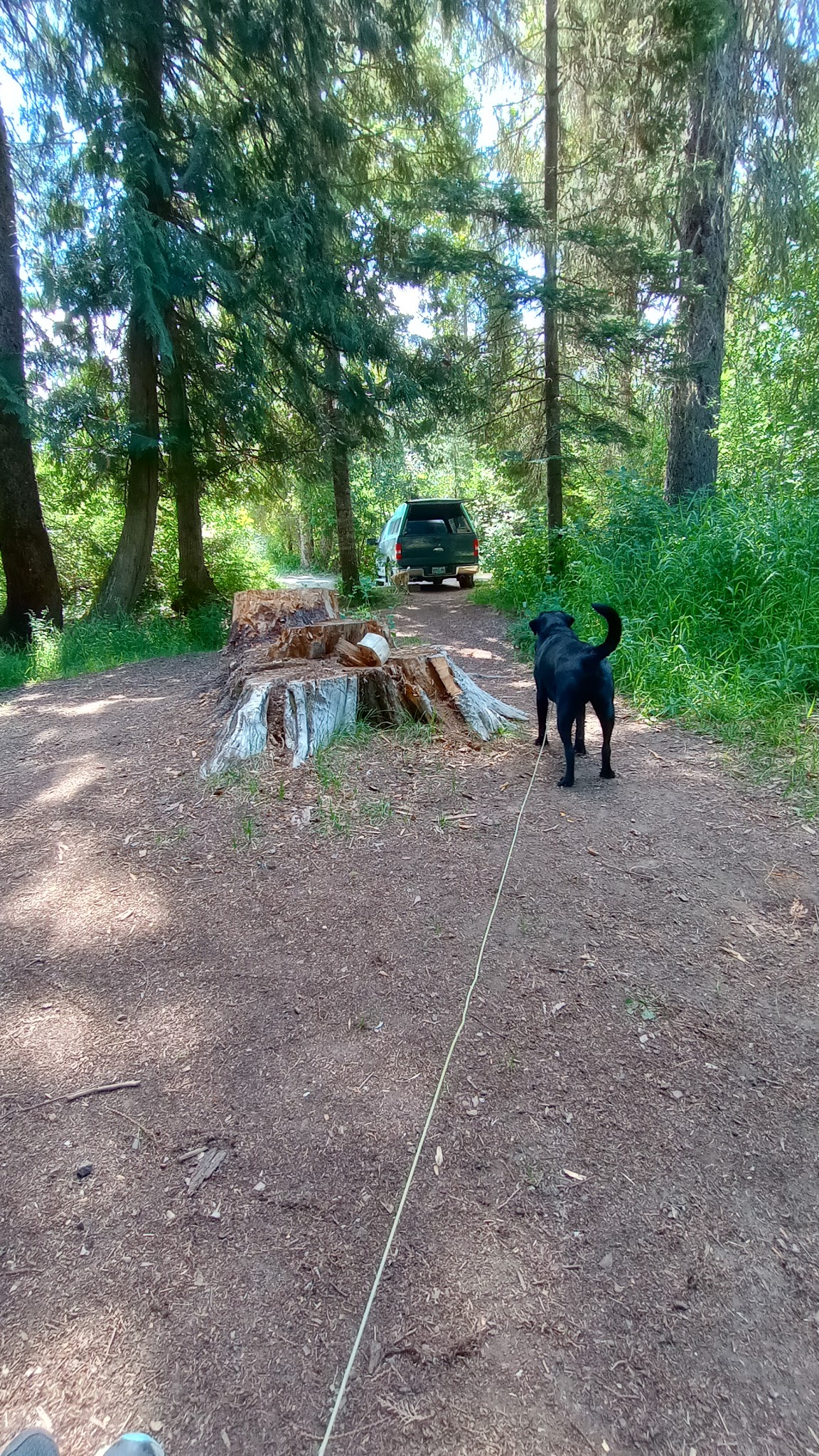 Cedar Creek Campground