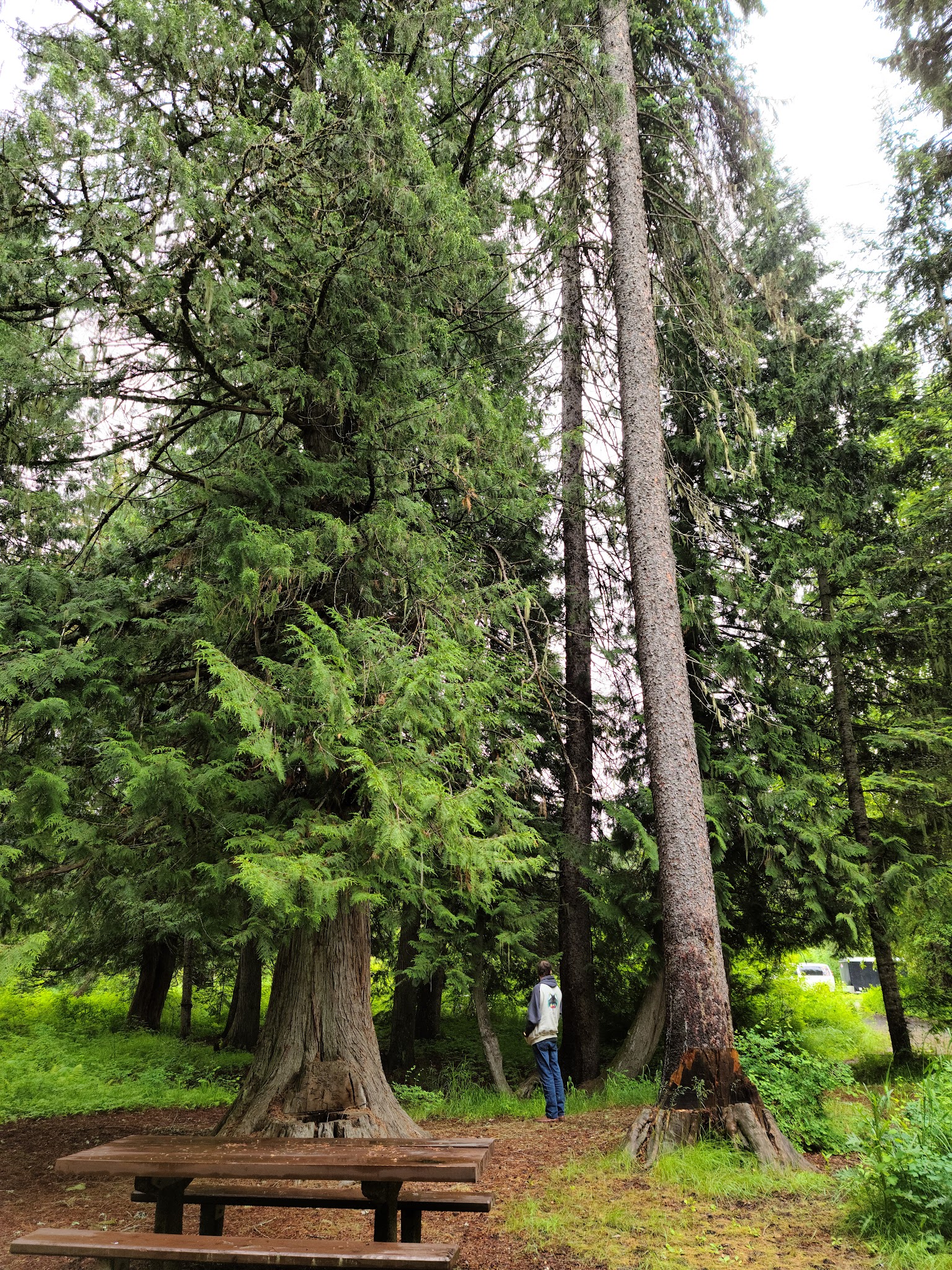 Cedar Creek Campground