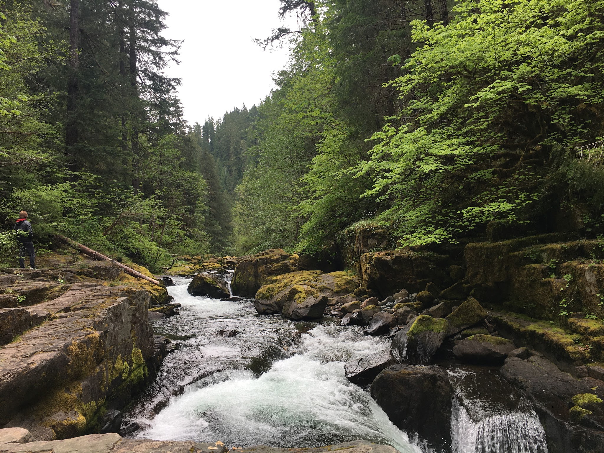 Cedar Creek Campground