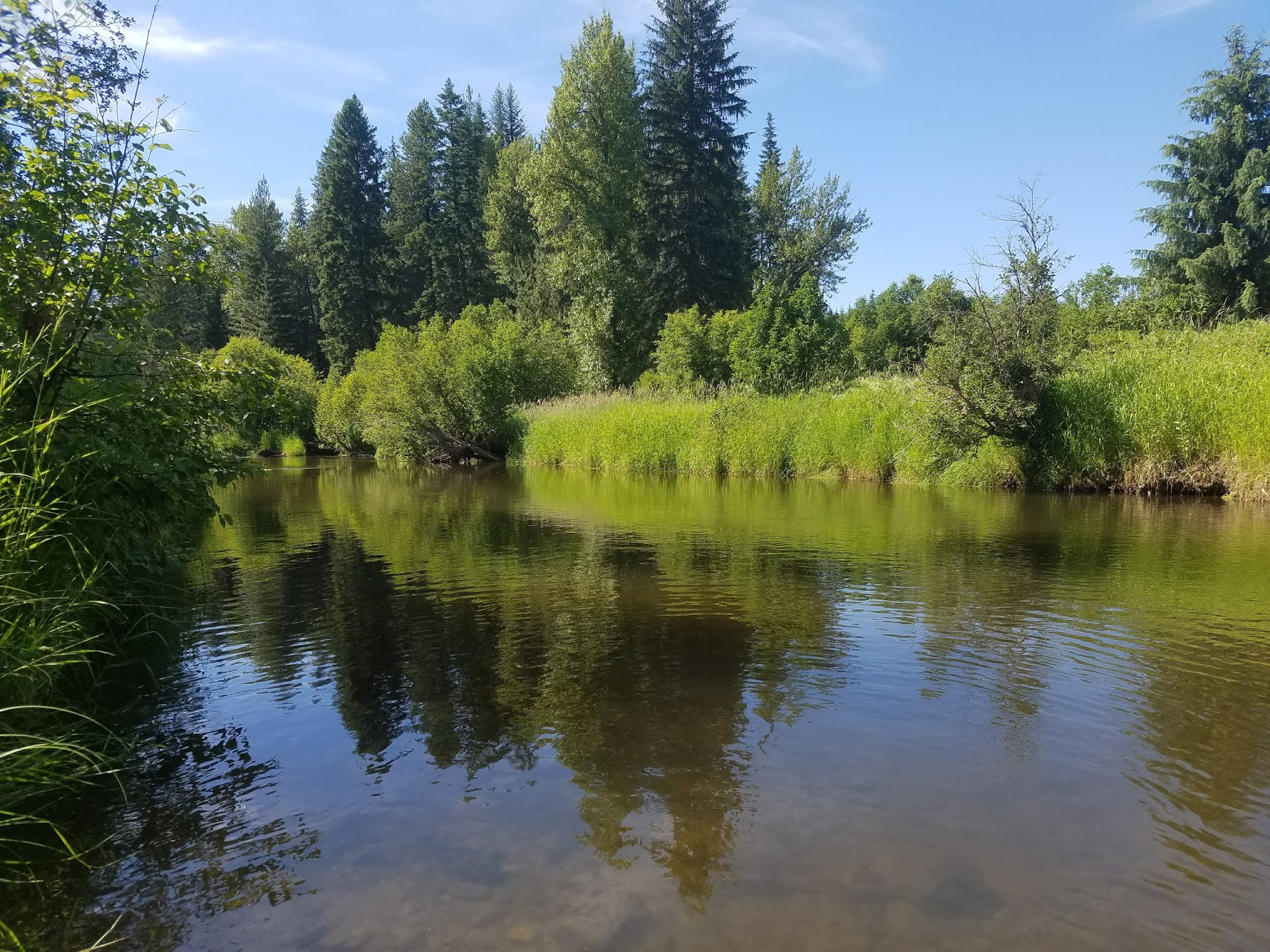 Cedar Creek Campground