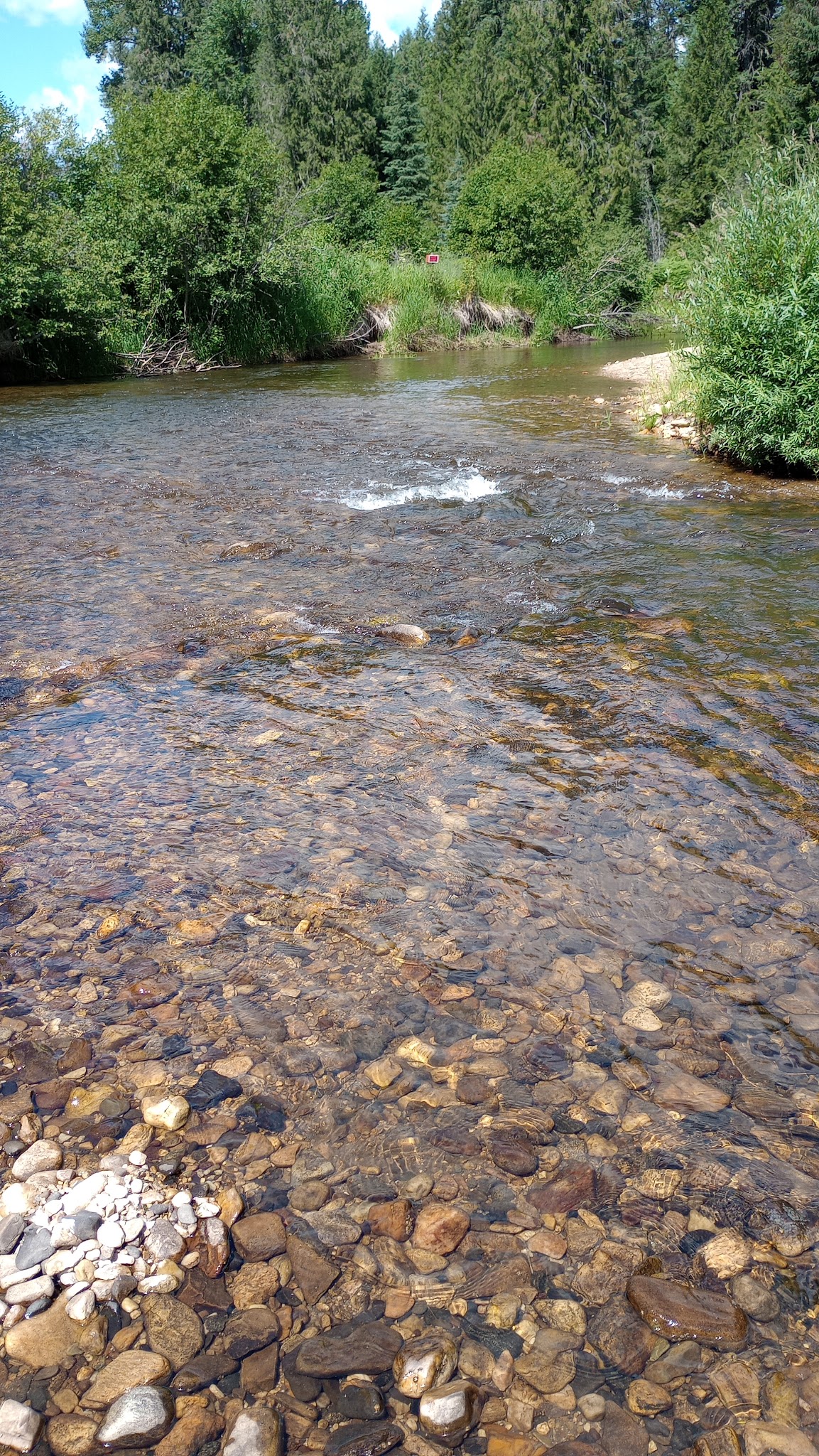 Cedar Creek Campground