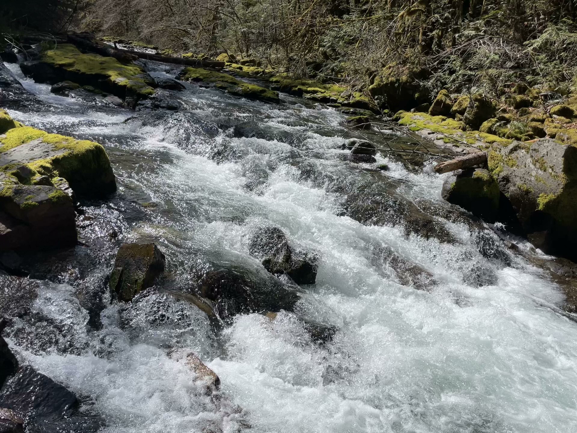 Cedar Creek Campground