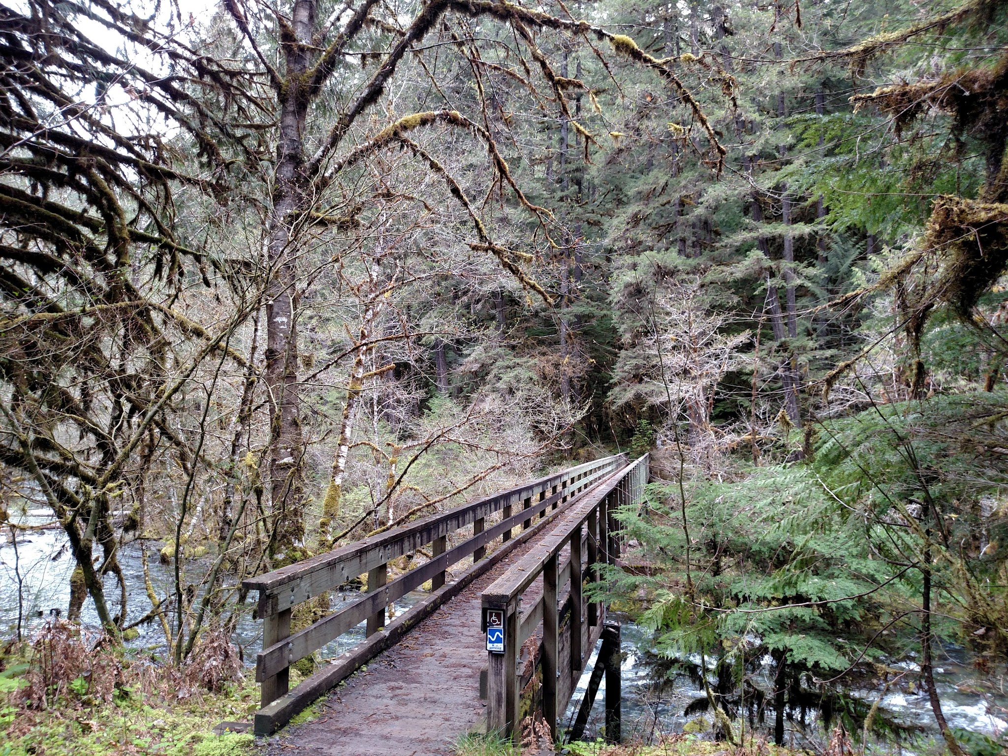 Cedar Creek Campground