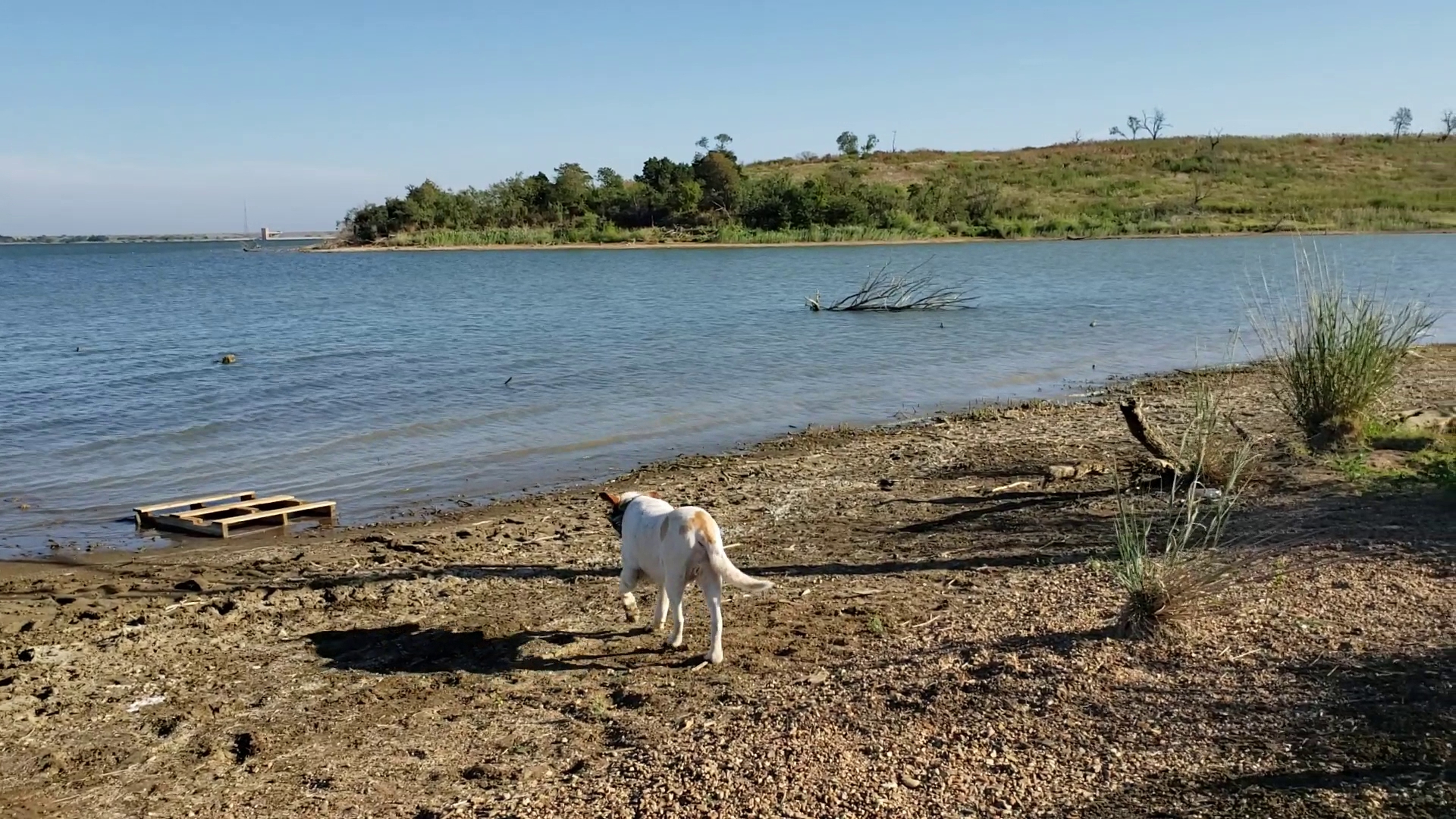 Cedar Hill State Park