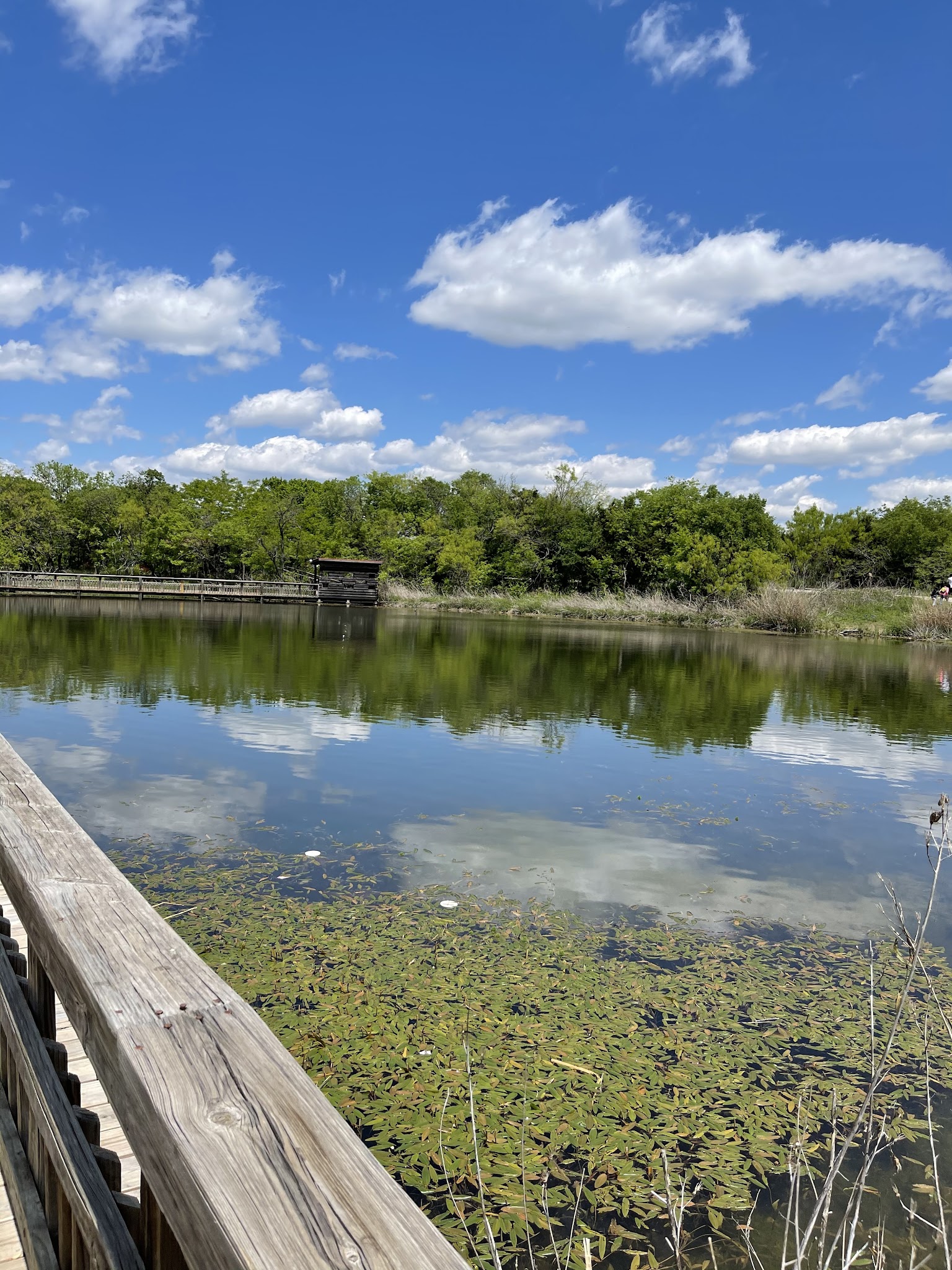Cedar Hill State Park