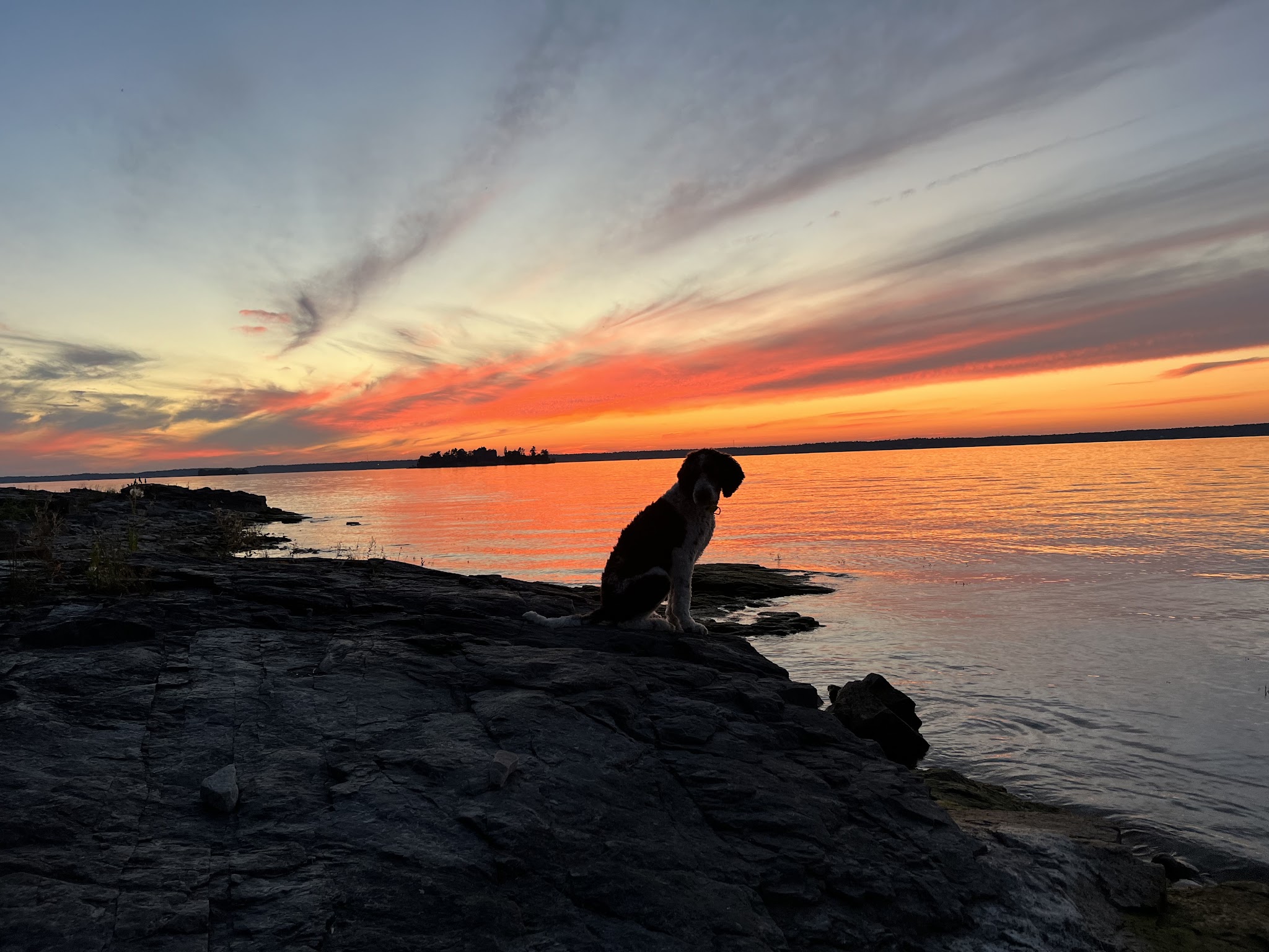 Cedar Island State Park