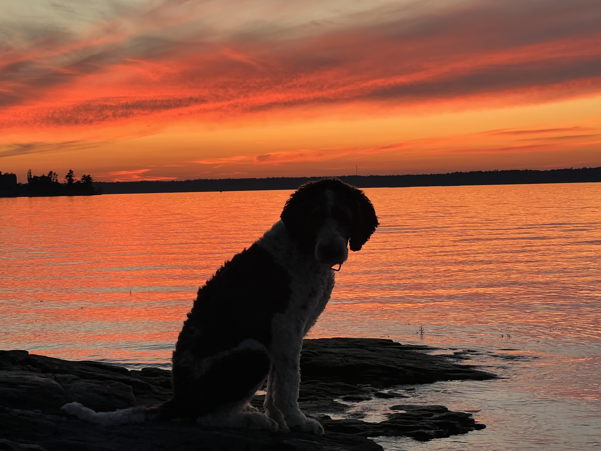 Cedar Island State Park