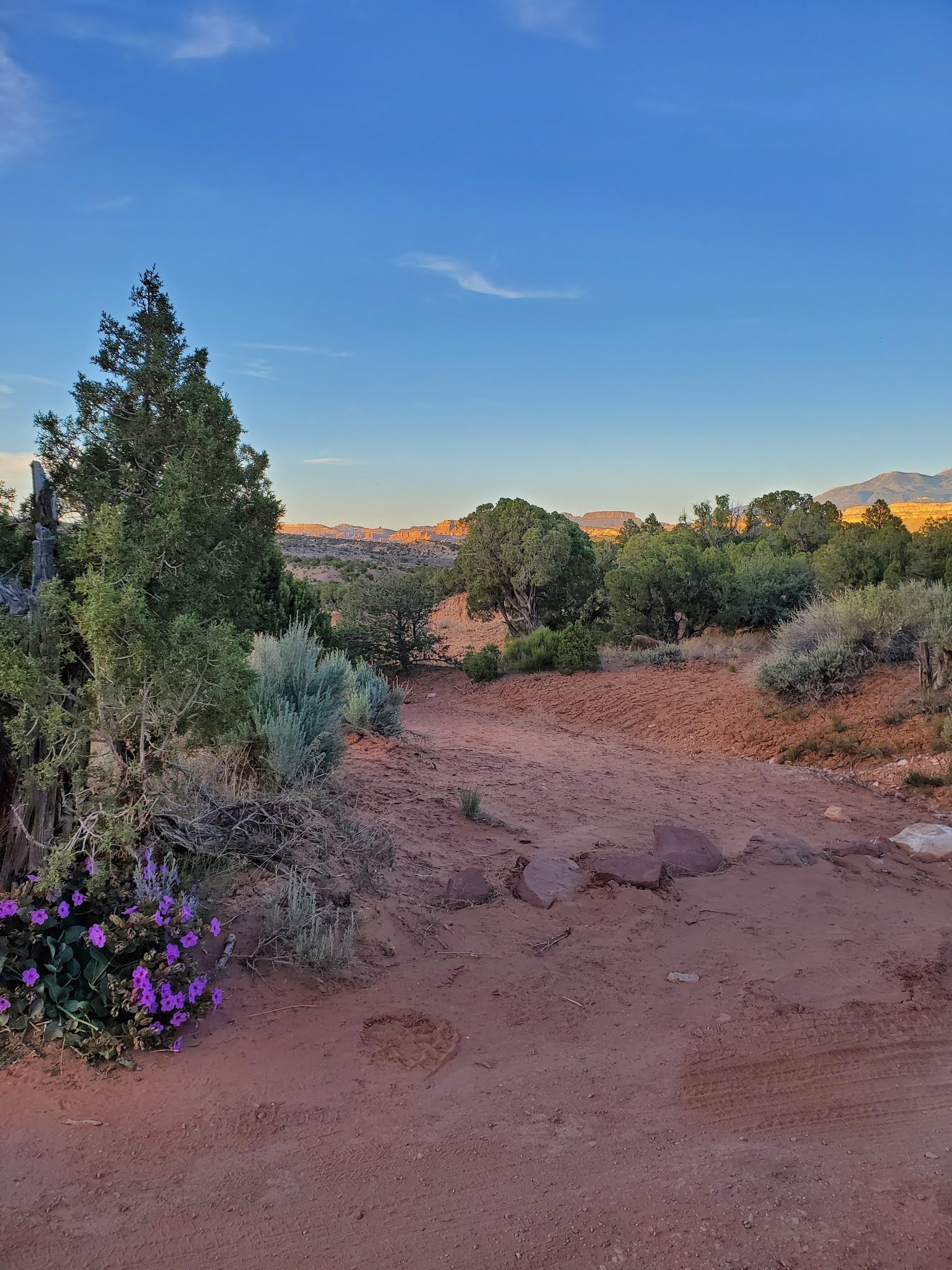 Primitive Campsites At Cedar Mesa Campground