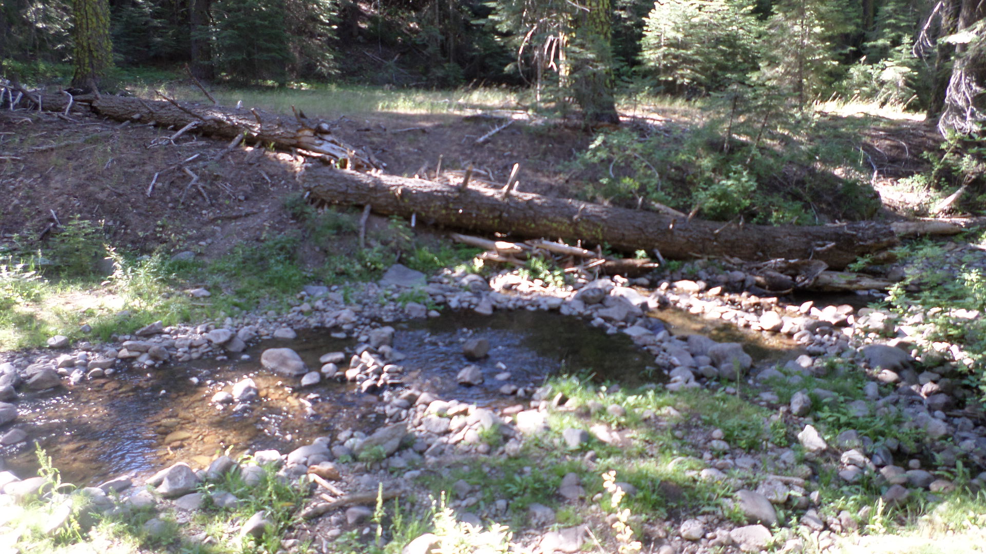 Cedar Pass Campground