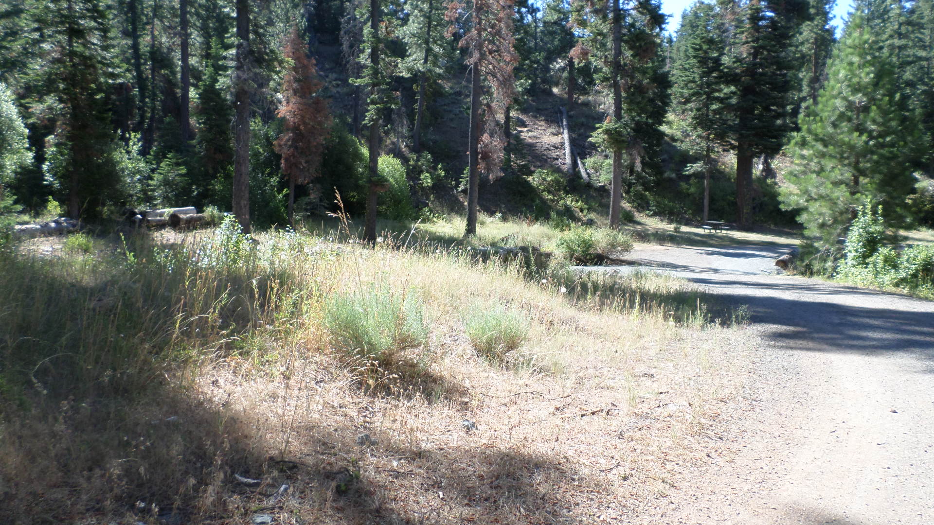 Cedar Pass Campground