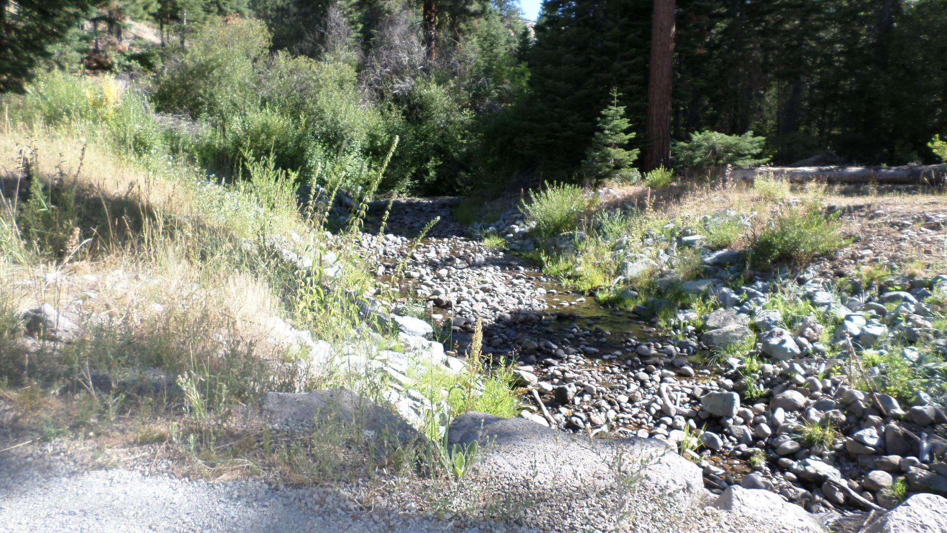 Cedar Pass Campground