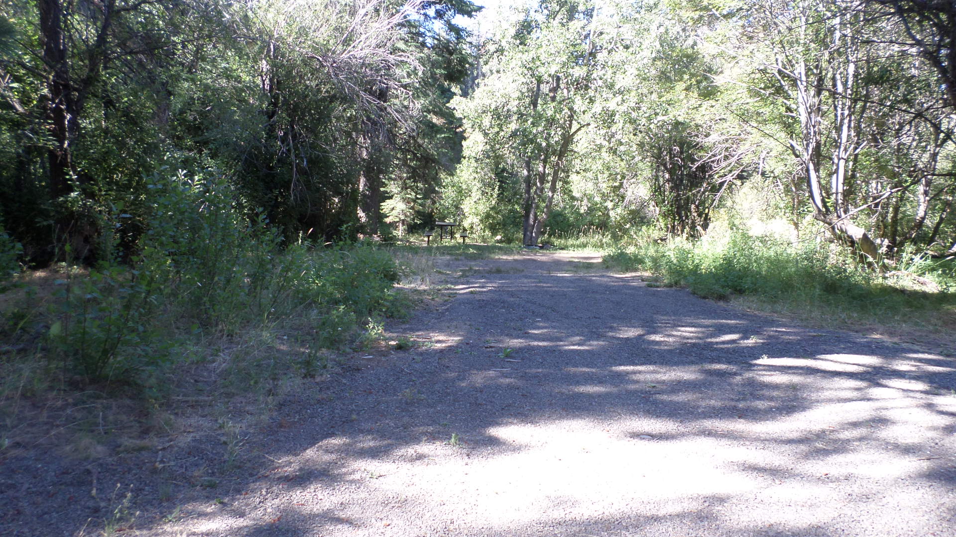 Cedar Pass Campground