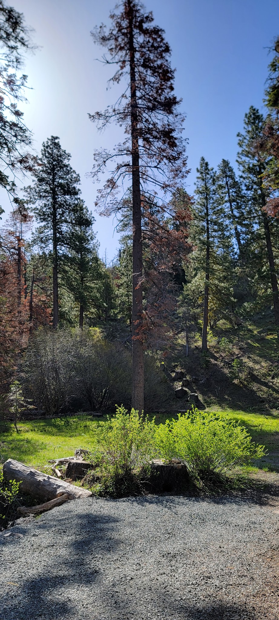Cedar Pass Campground