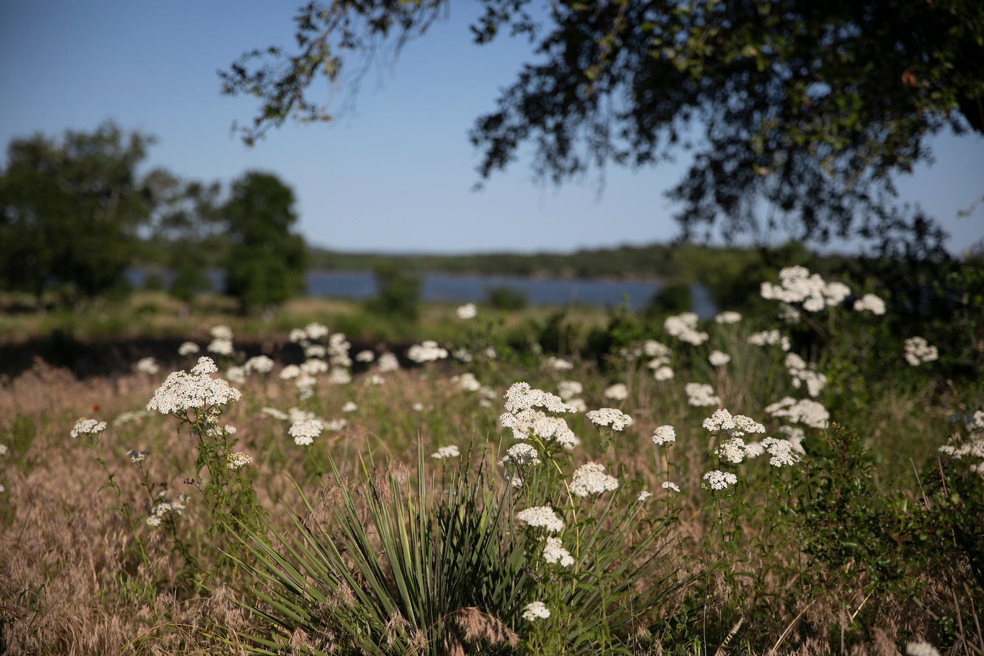 Cedar Point Recreation Area