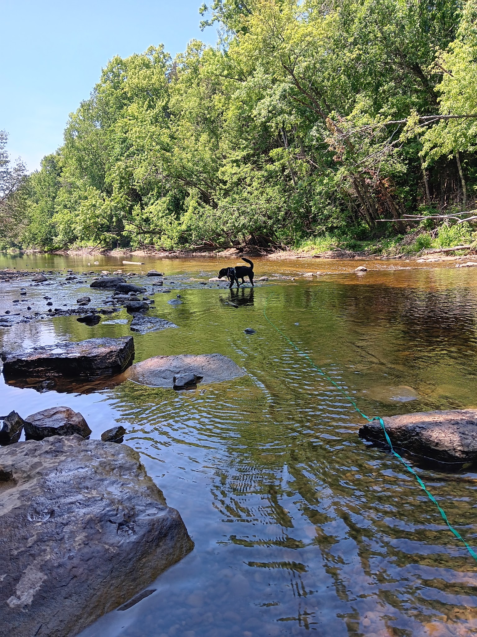 Cedar River North Equestrian State Forest Campground And Trail Camp