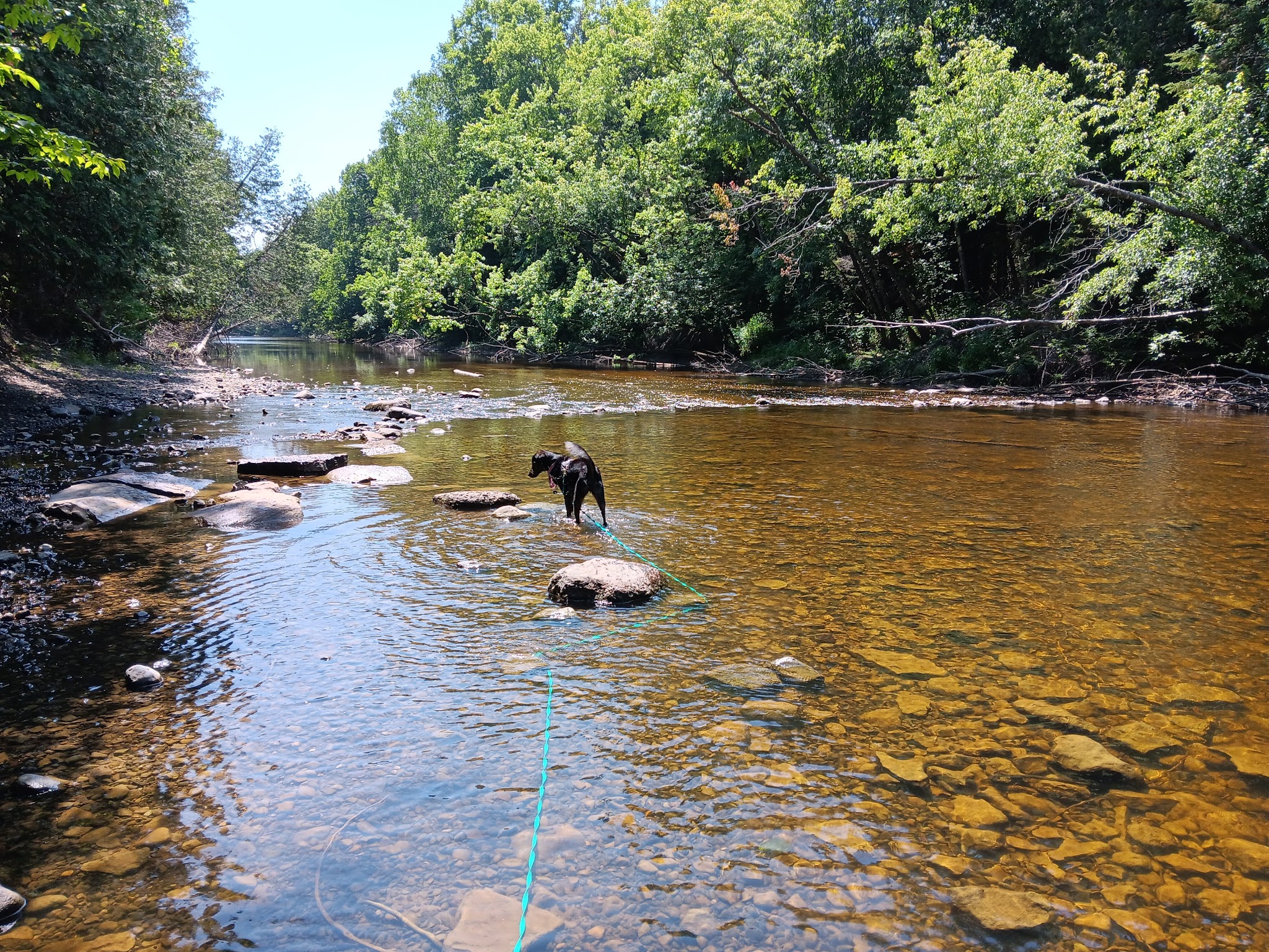 Cedar River North Equestrian State Forest Campground And Trail Camp