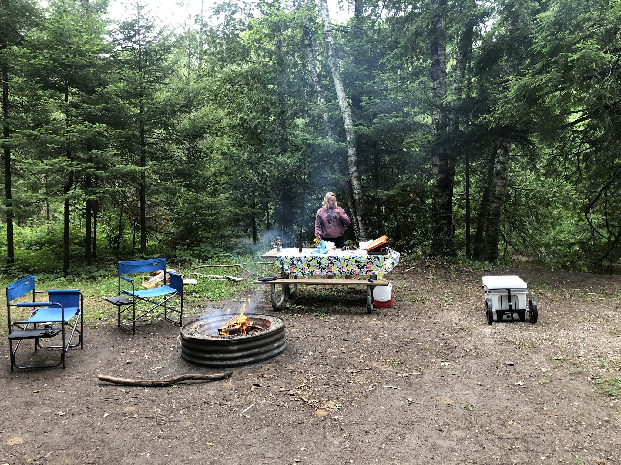 Cedar River North Equestrian State Forest Campground And Trail Camp