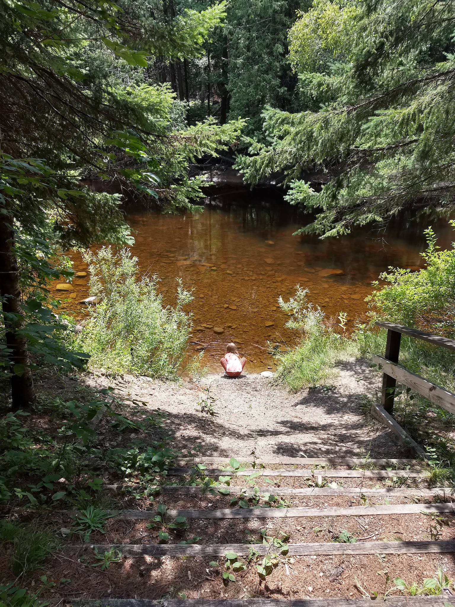 Cedar River North Equestrian State Forest Campground And Trail Camp
