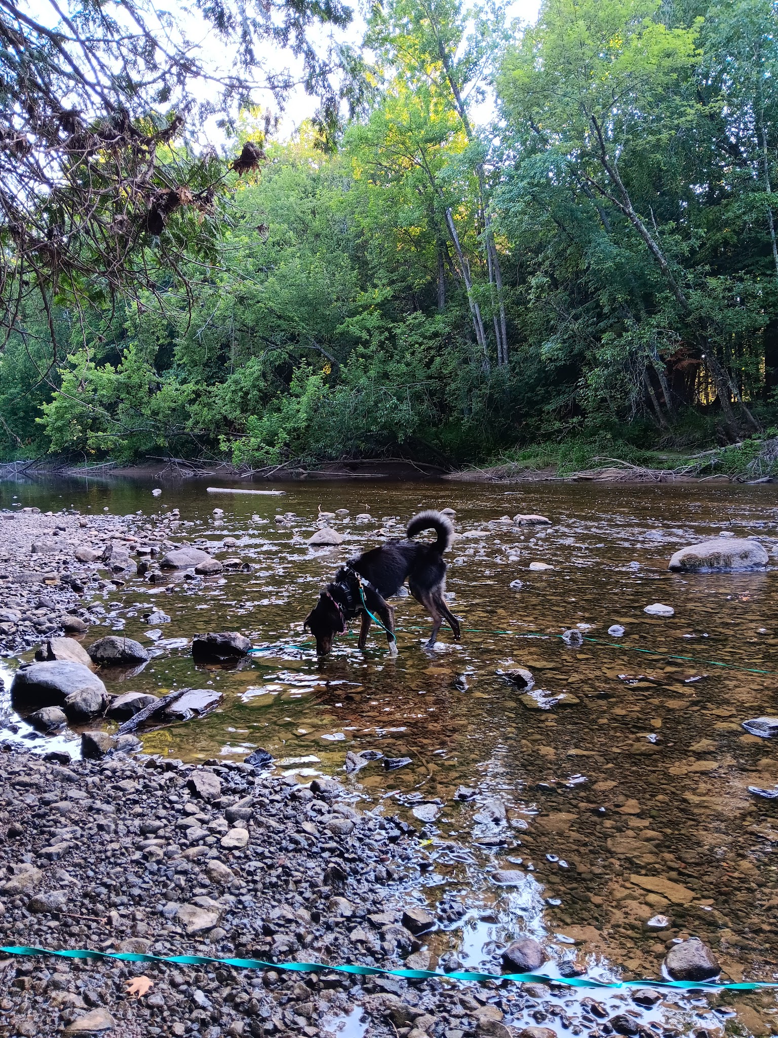 Cedar River North Equestrian State Forest Campground And Trail Camp