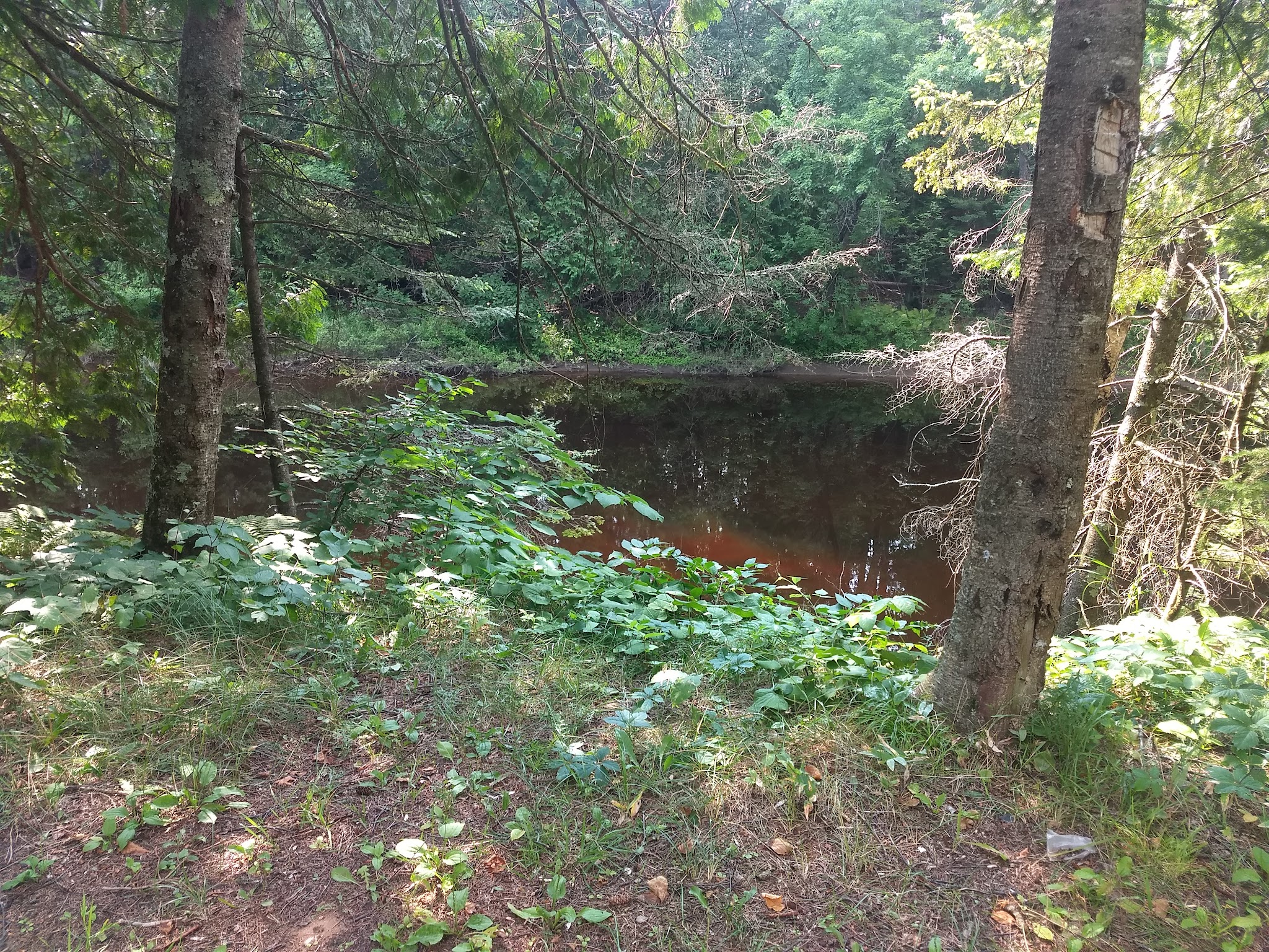 Cedar River North Equestrian State Forest Campground And Trail Camp