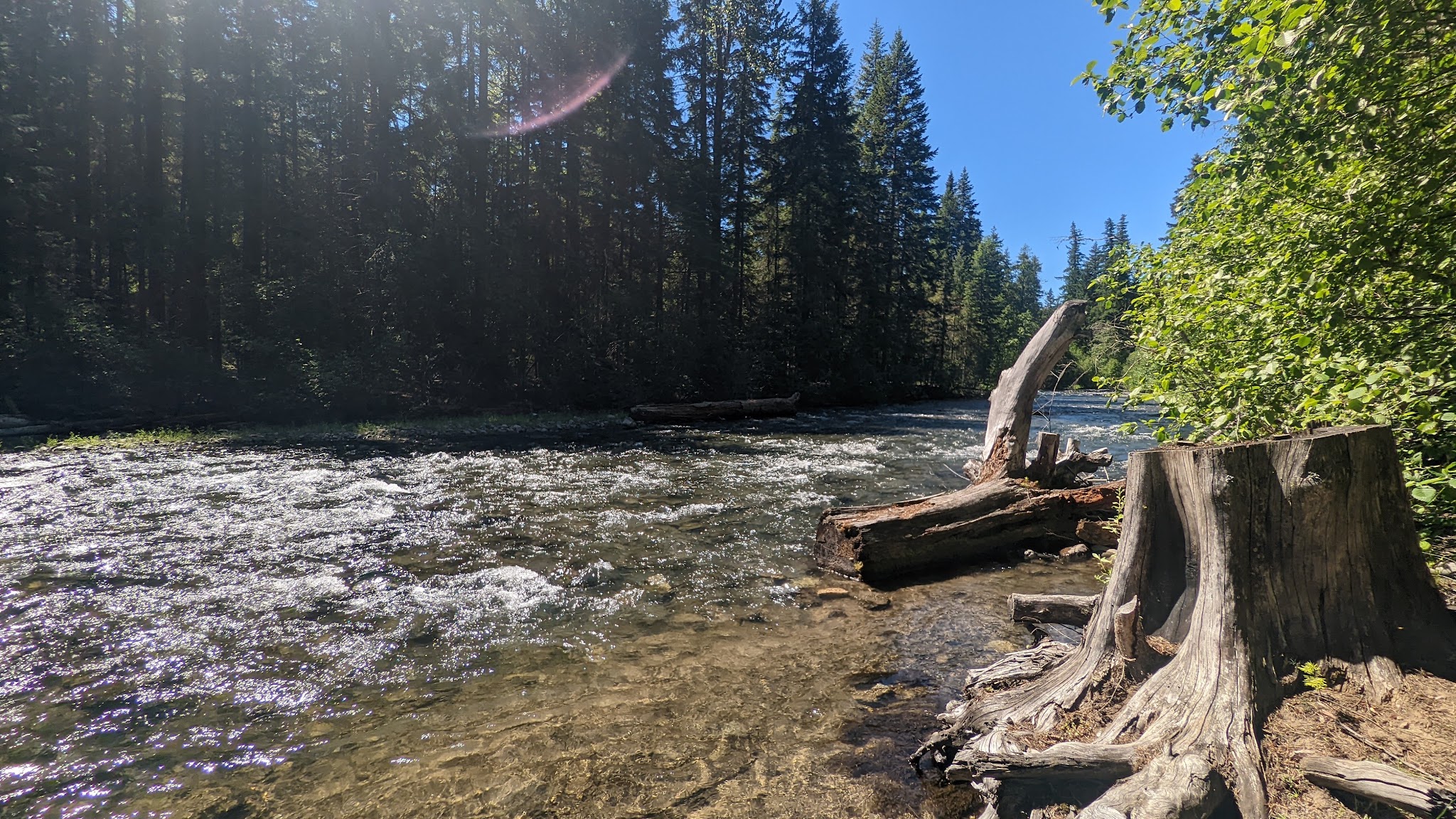 Cedar Springs Campground (Wa)