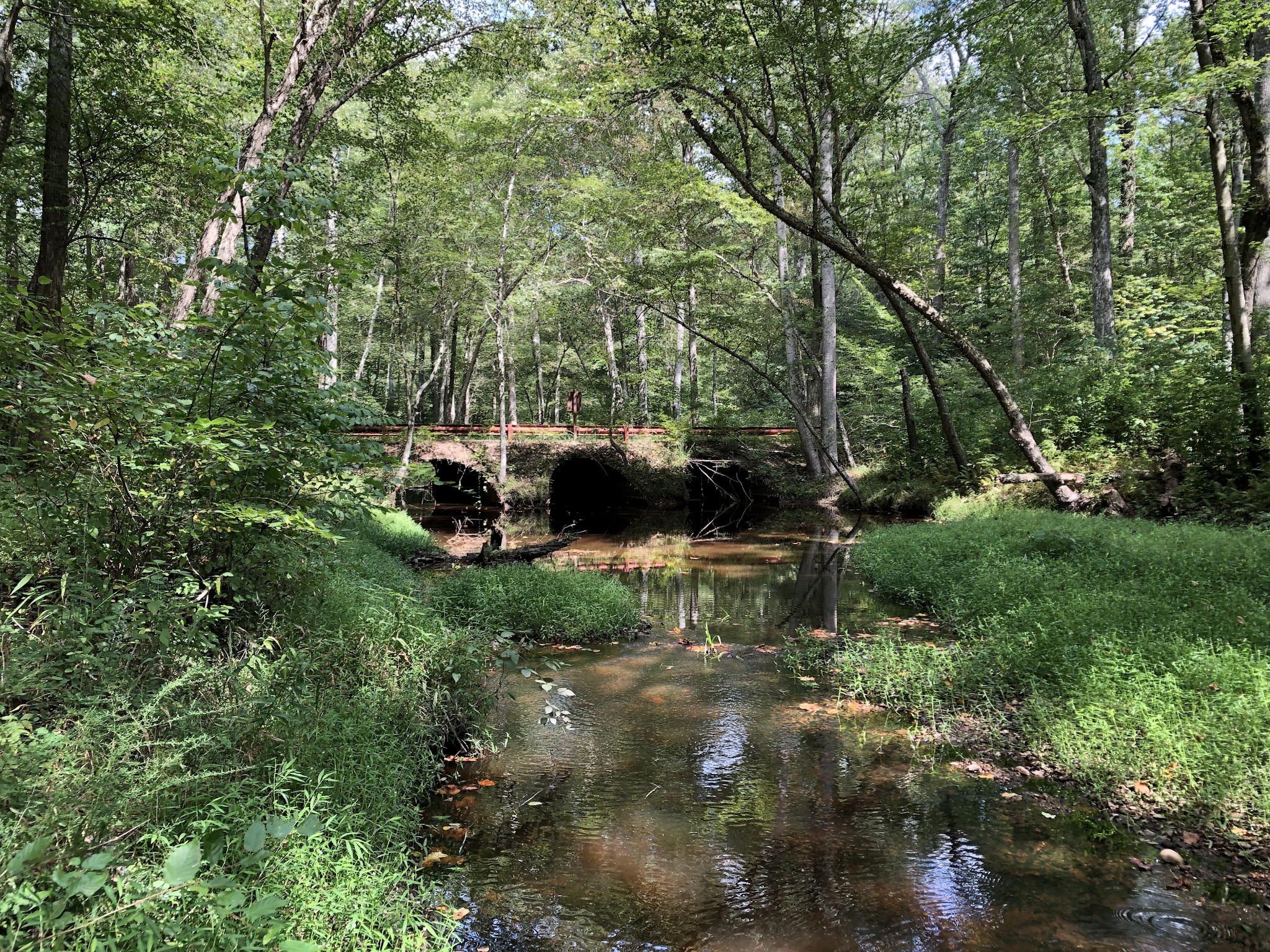 Cedarville State Forest