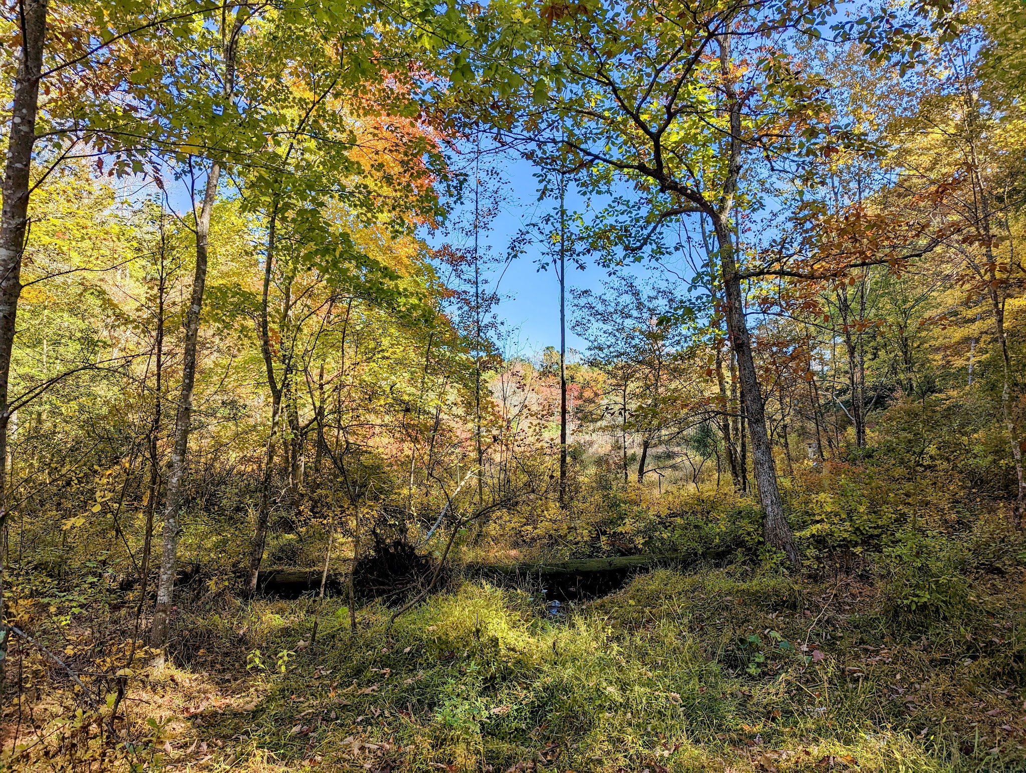 Cedarville State Forest