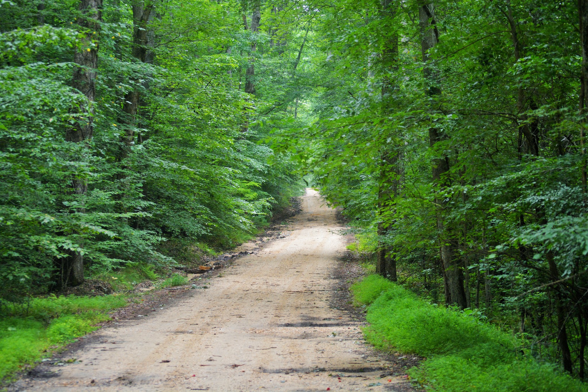 Cedarville State Forest