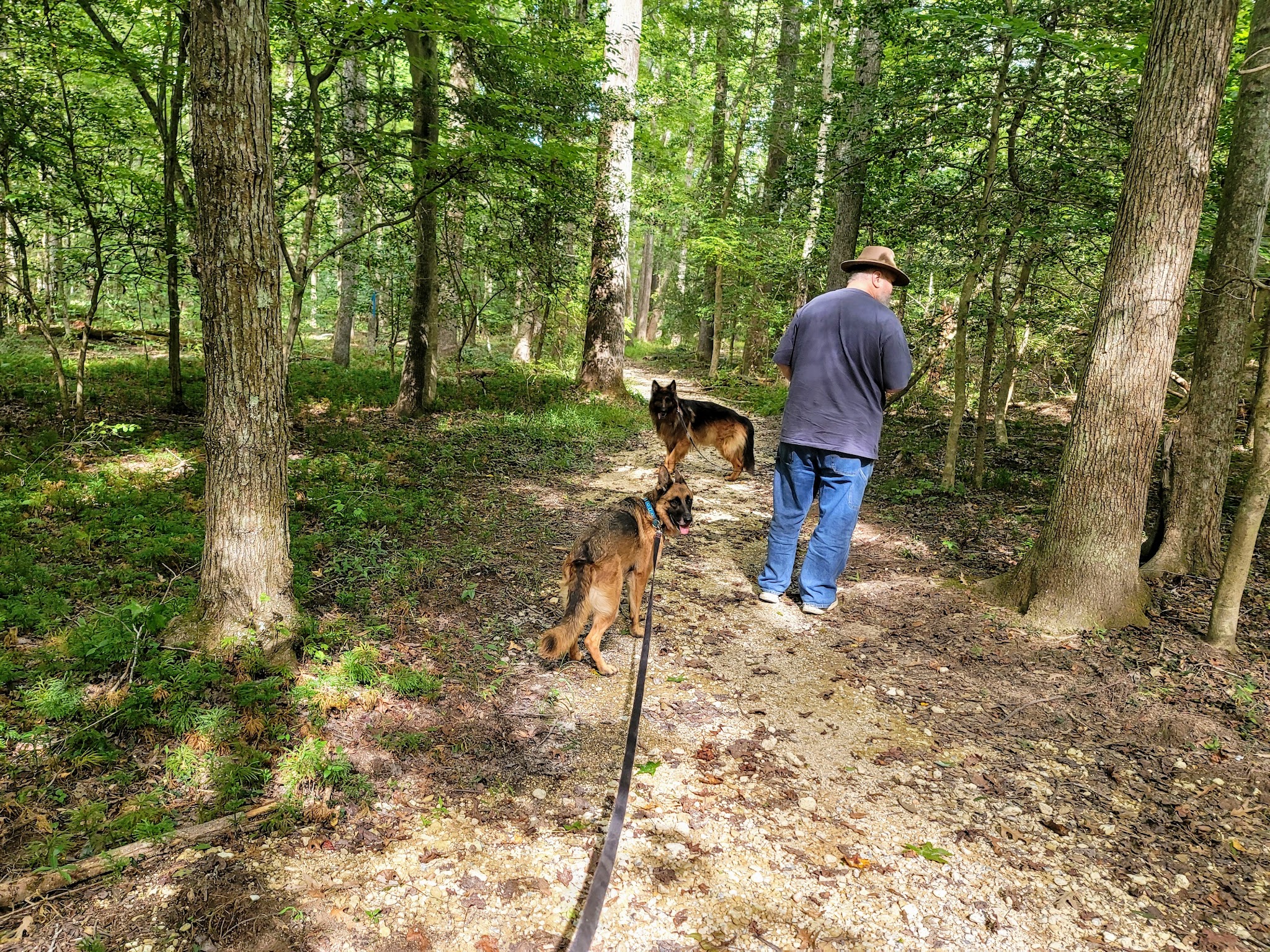 Cedarville State Forest