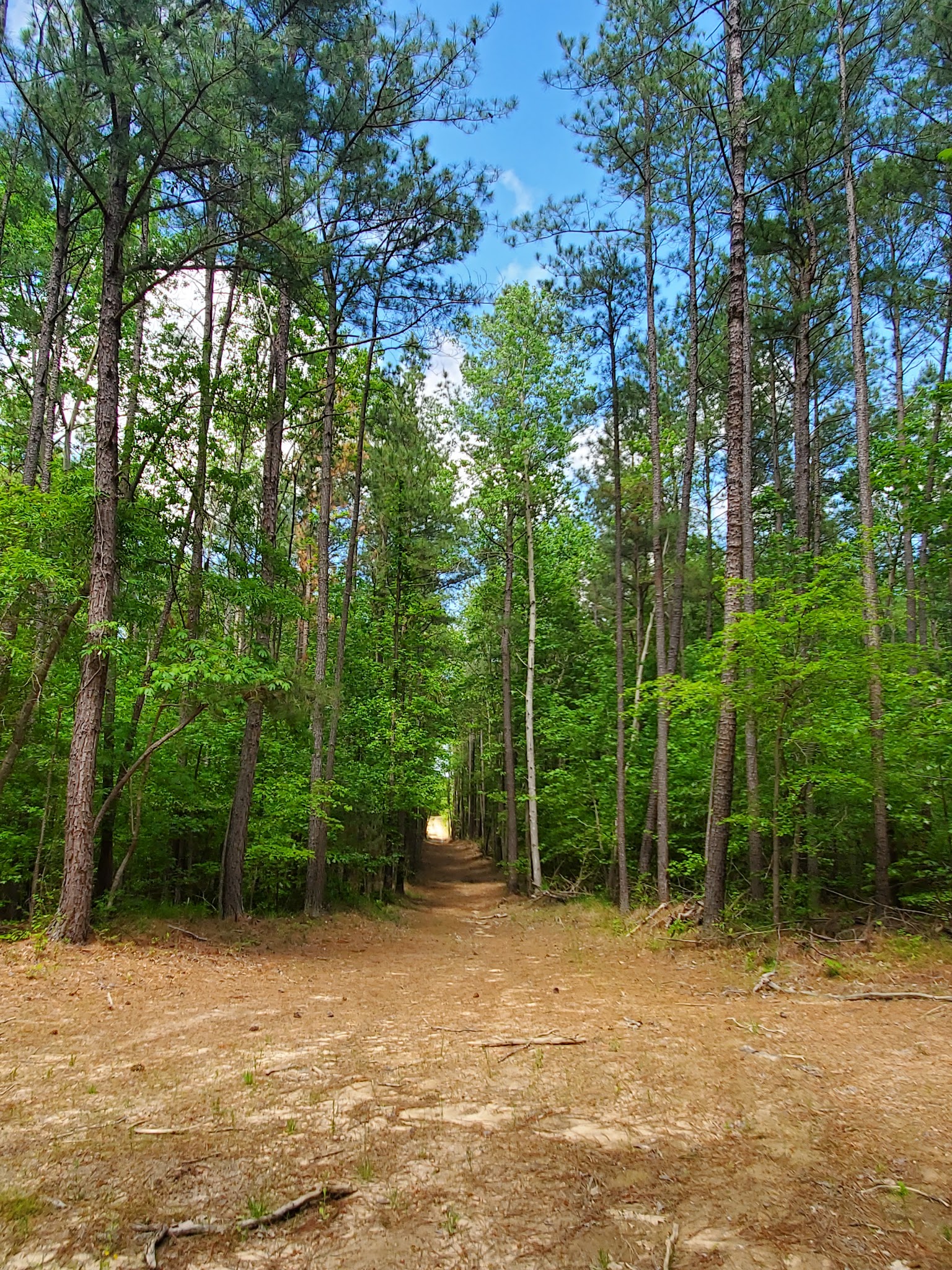 Cedarville State Forest