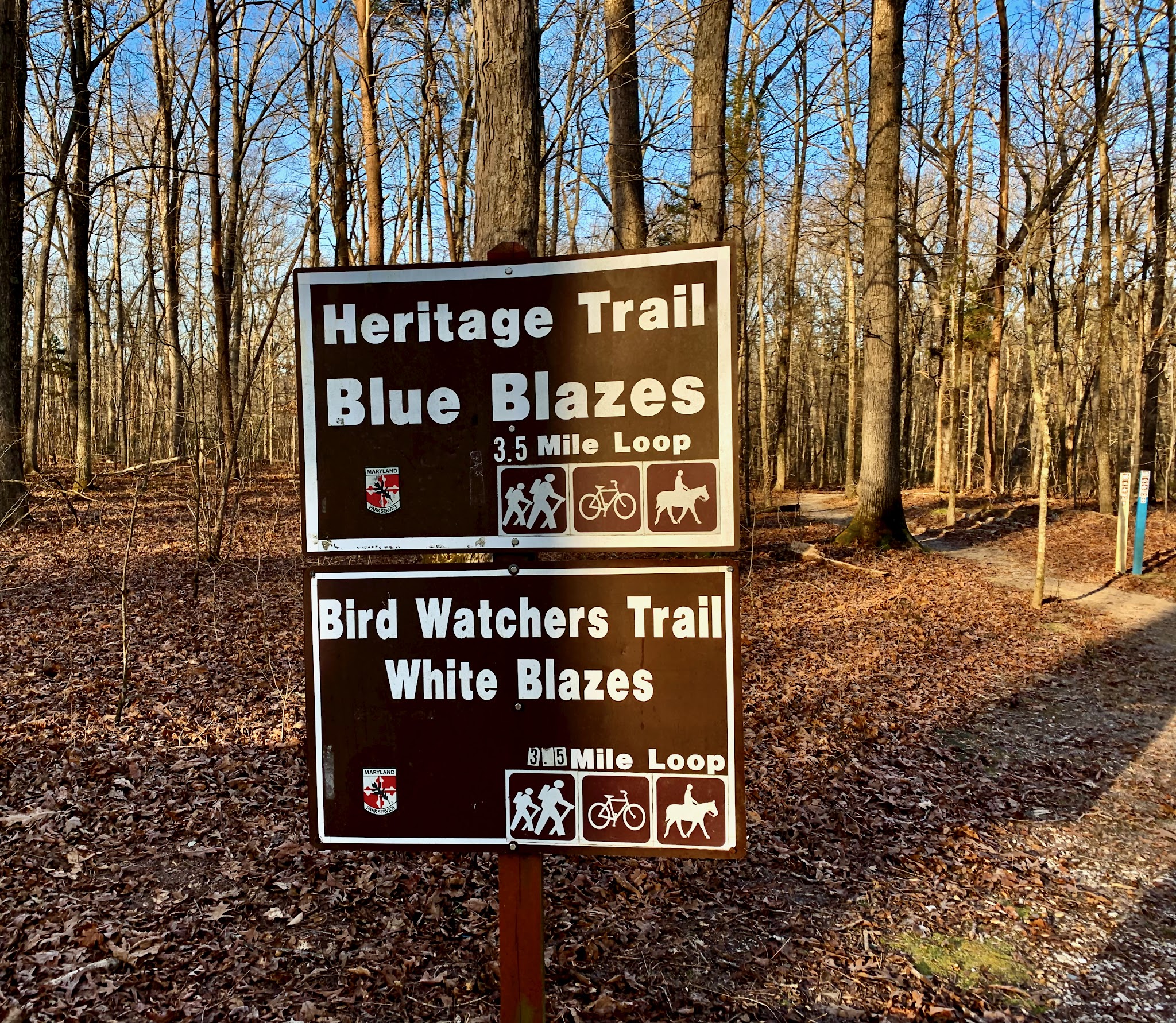 Cedarville State Forest