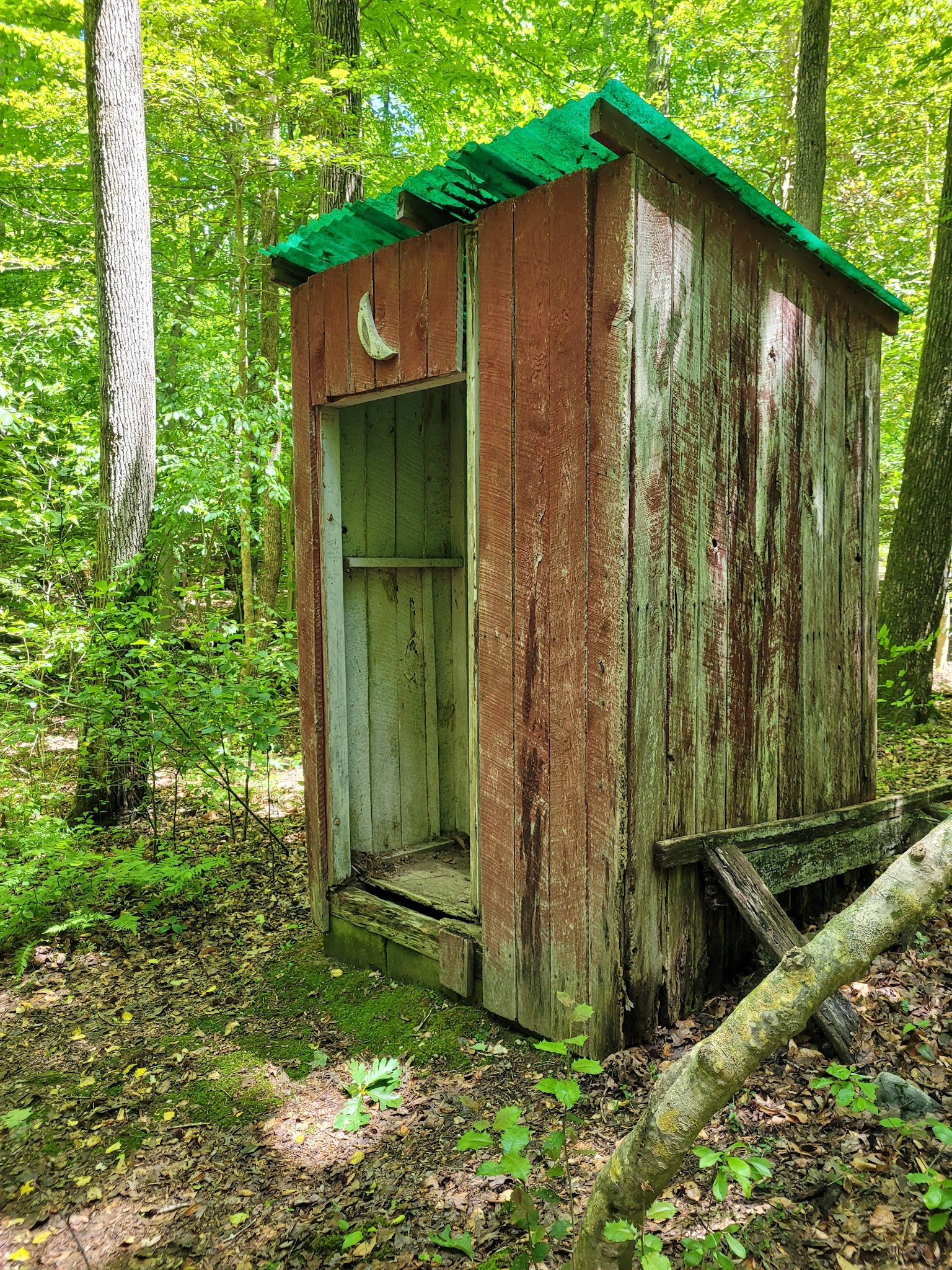 Cedarville State Forest