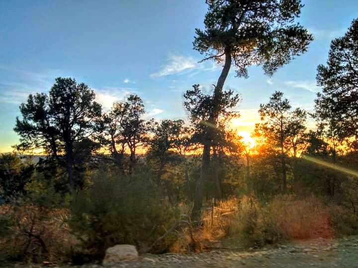 Cedro Peak Camping Sites - Robin And Jay