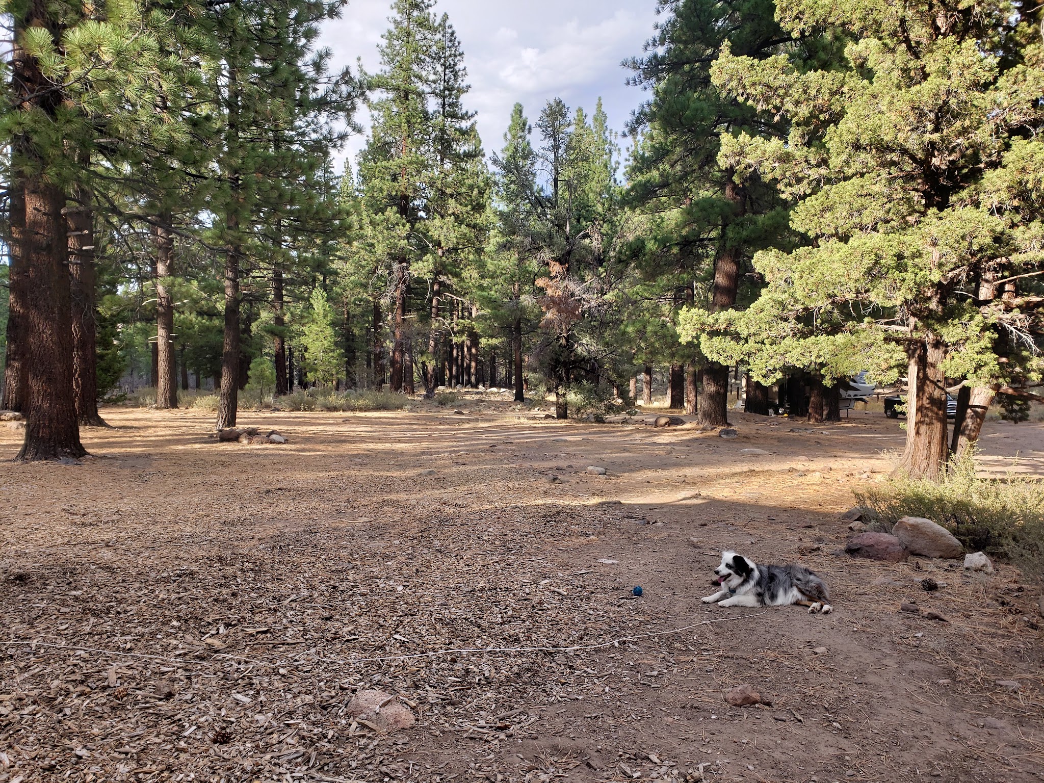 Centerville Flat Campground