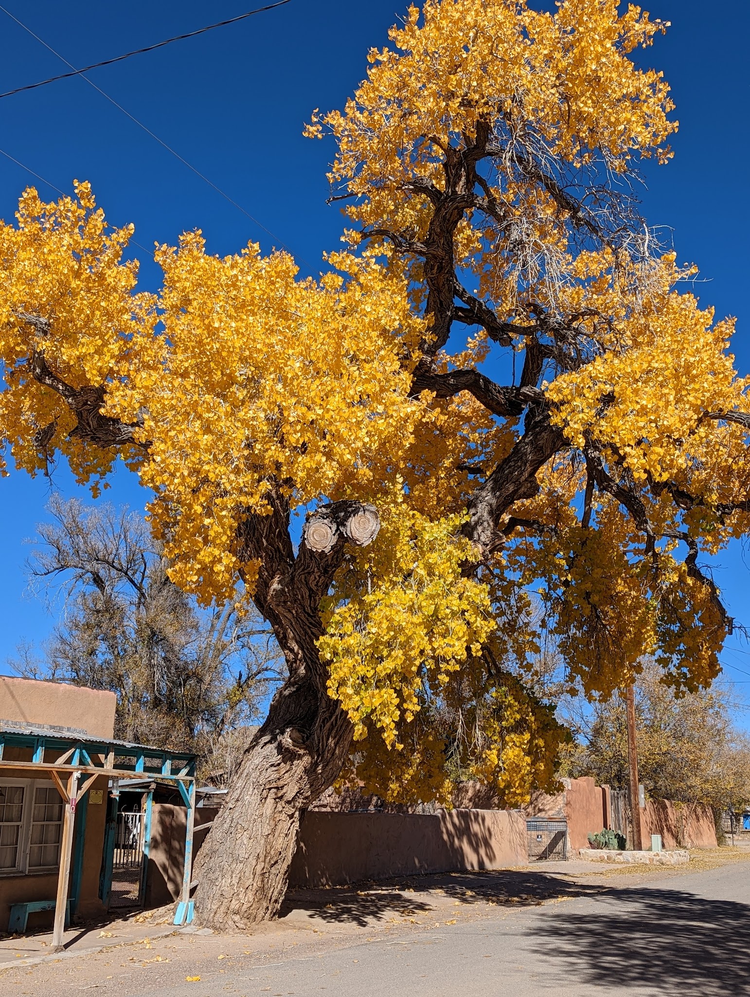 Cerrillos Hills State Park Visitor Center - Cerrillos