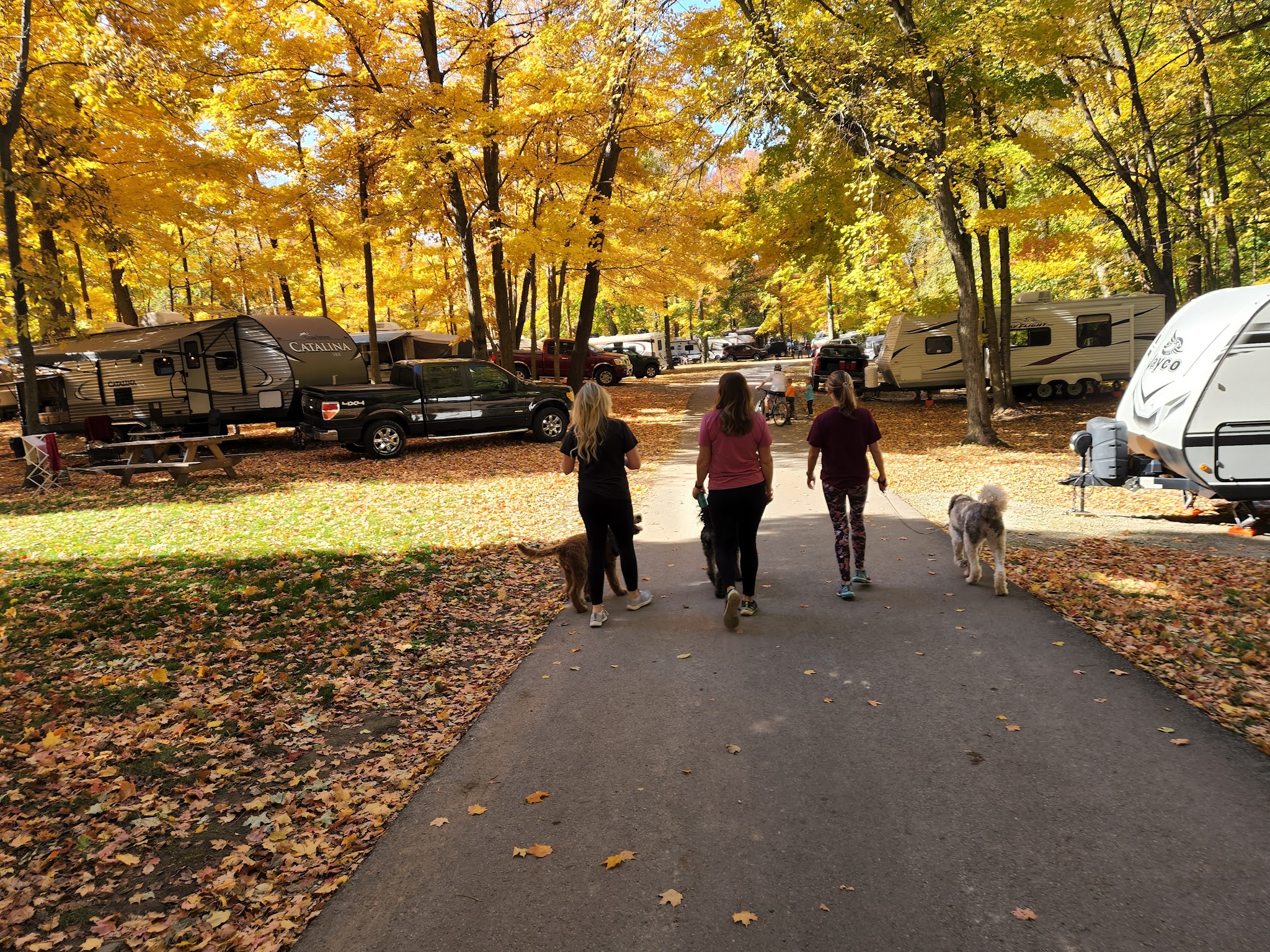 Chain O Lakes State Park
