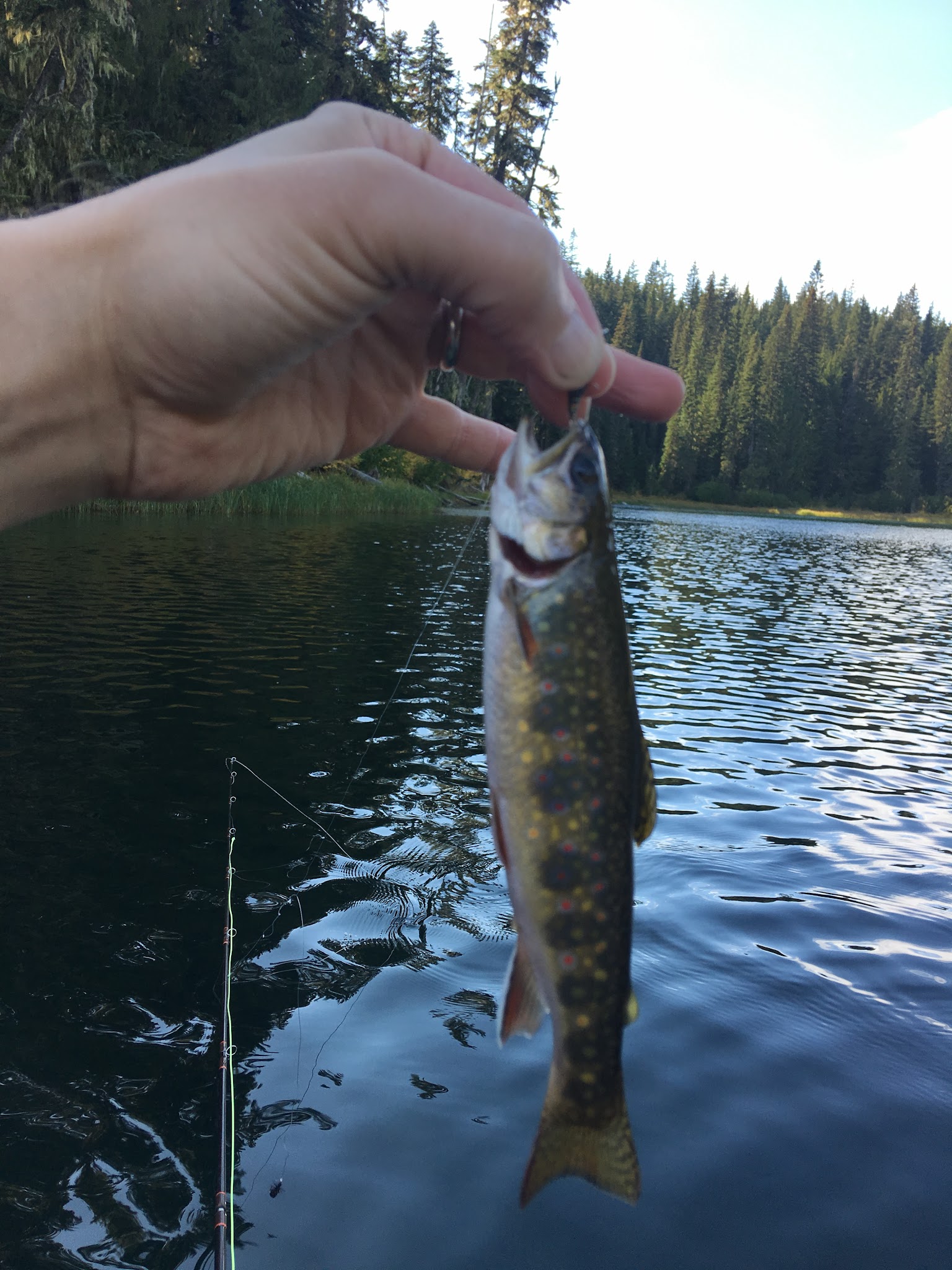 Campground: Chambers Lake