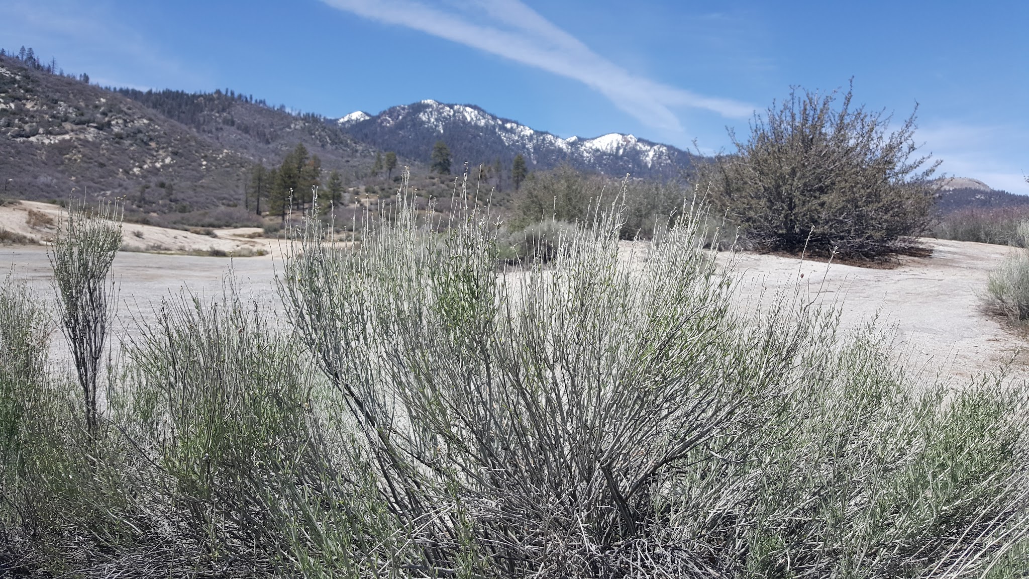 Chamise Flat Dispersed Campground