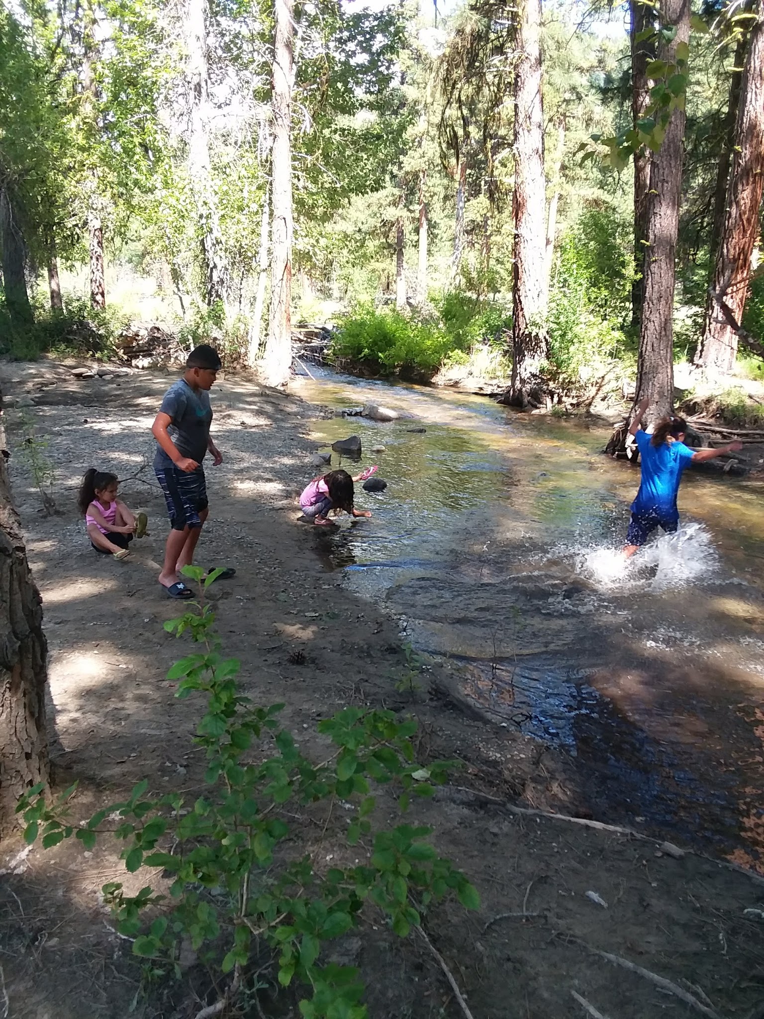 Chaparral Campground