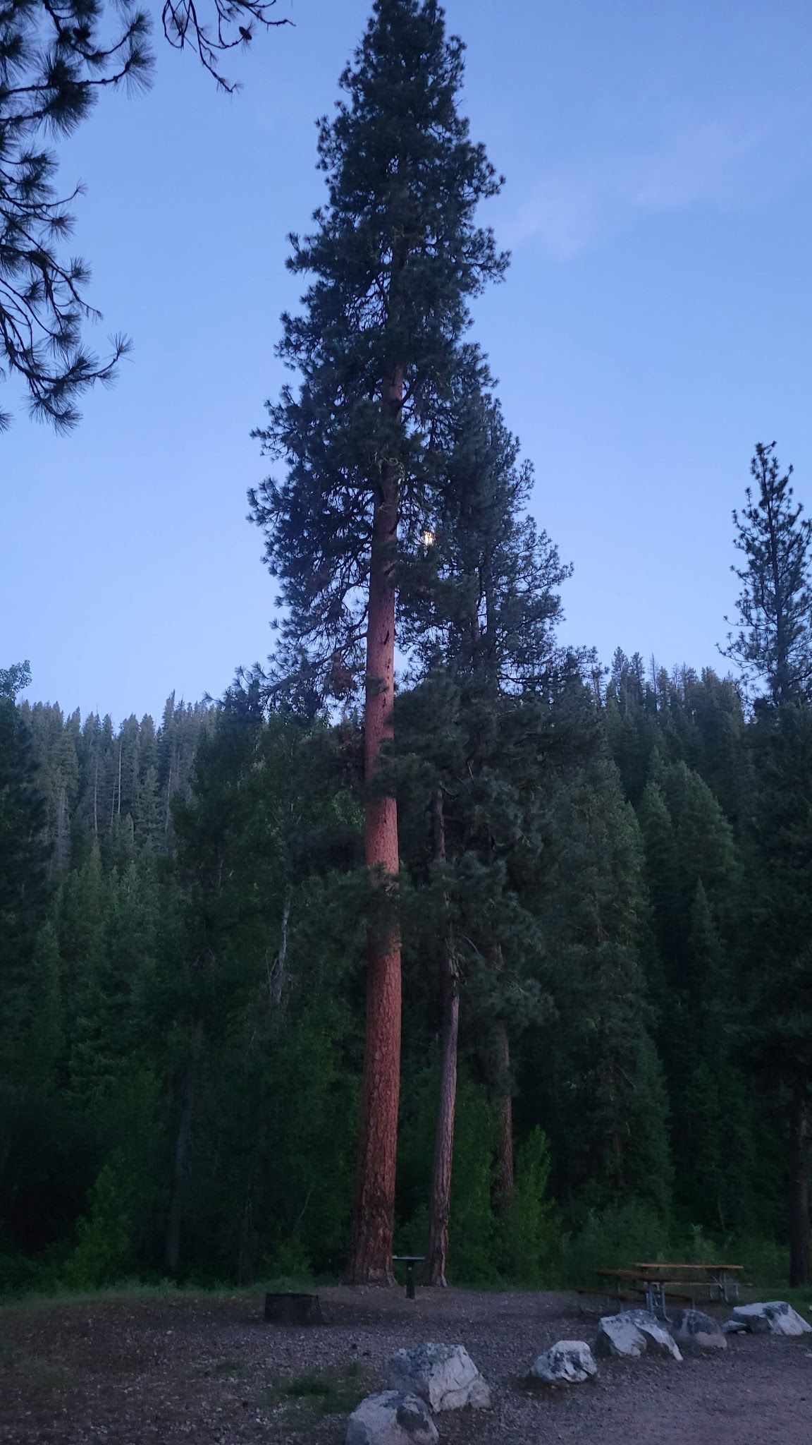 Chaparral Campground