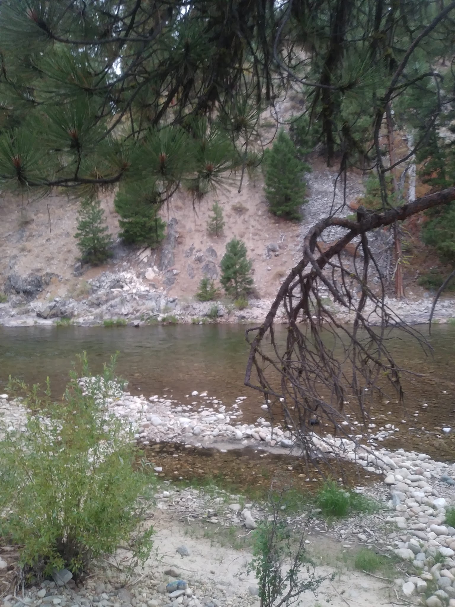 Chaparral Campground