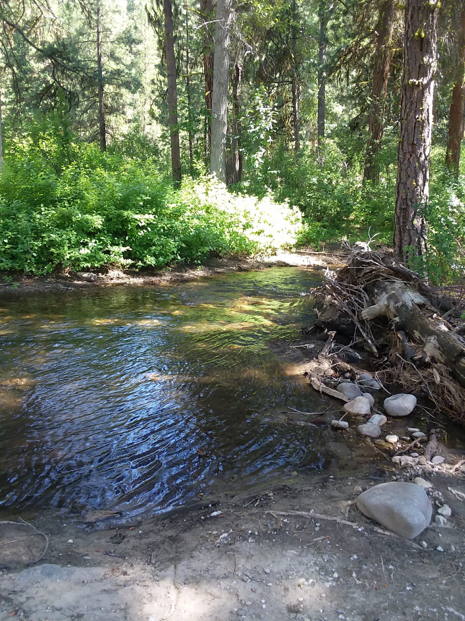 Chaparral Campground