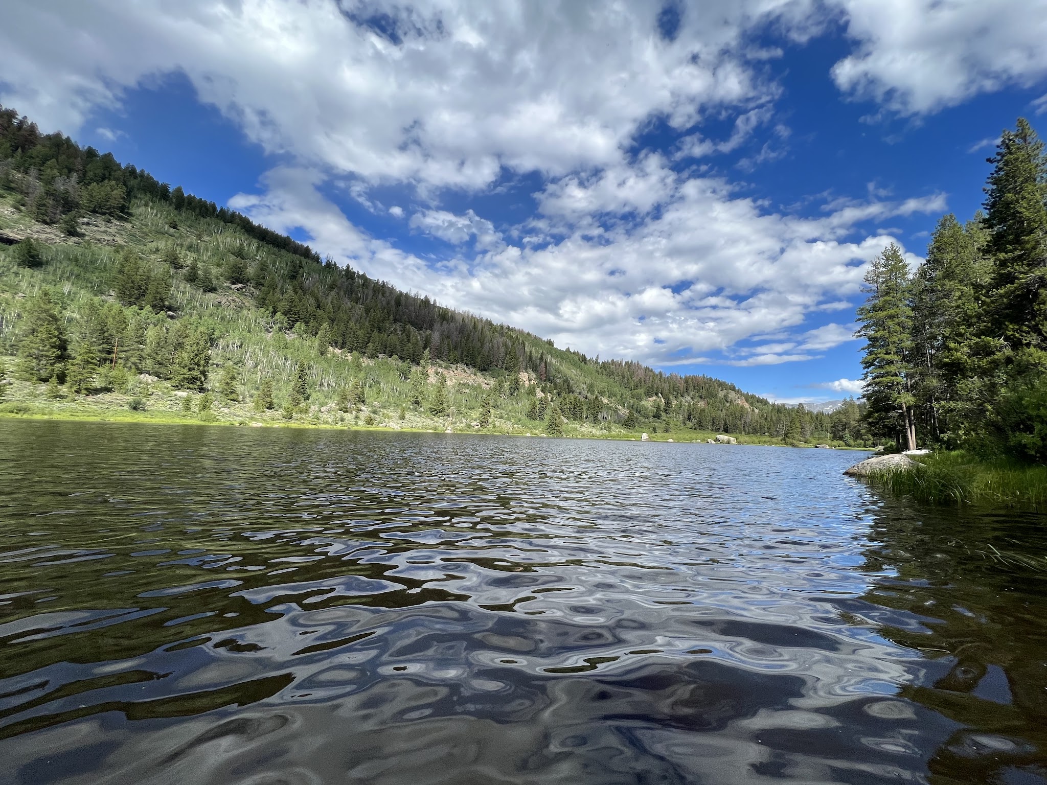 Chapman Campground And Group