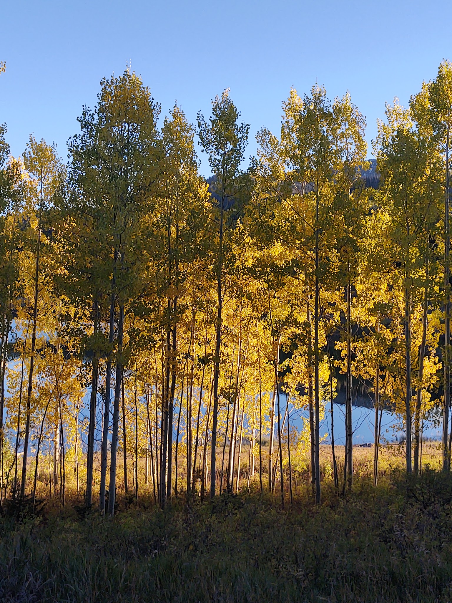 Chapman Reservoir Campground