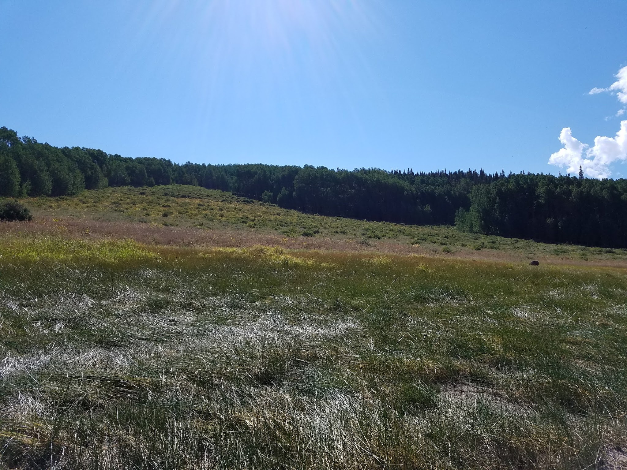 Chapman Reservoir Campground