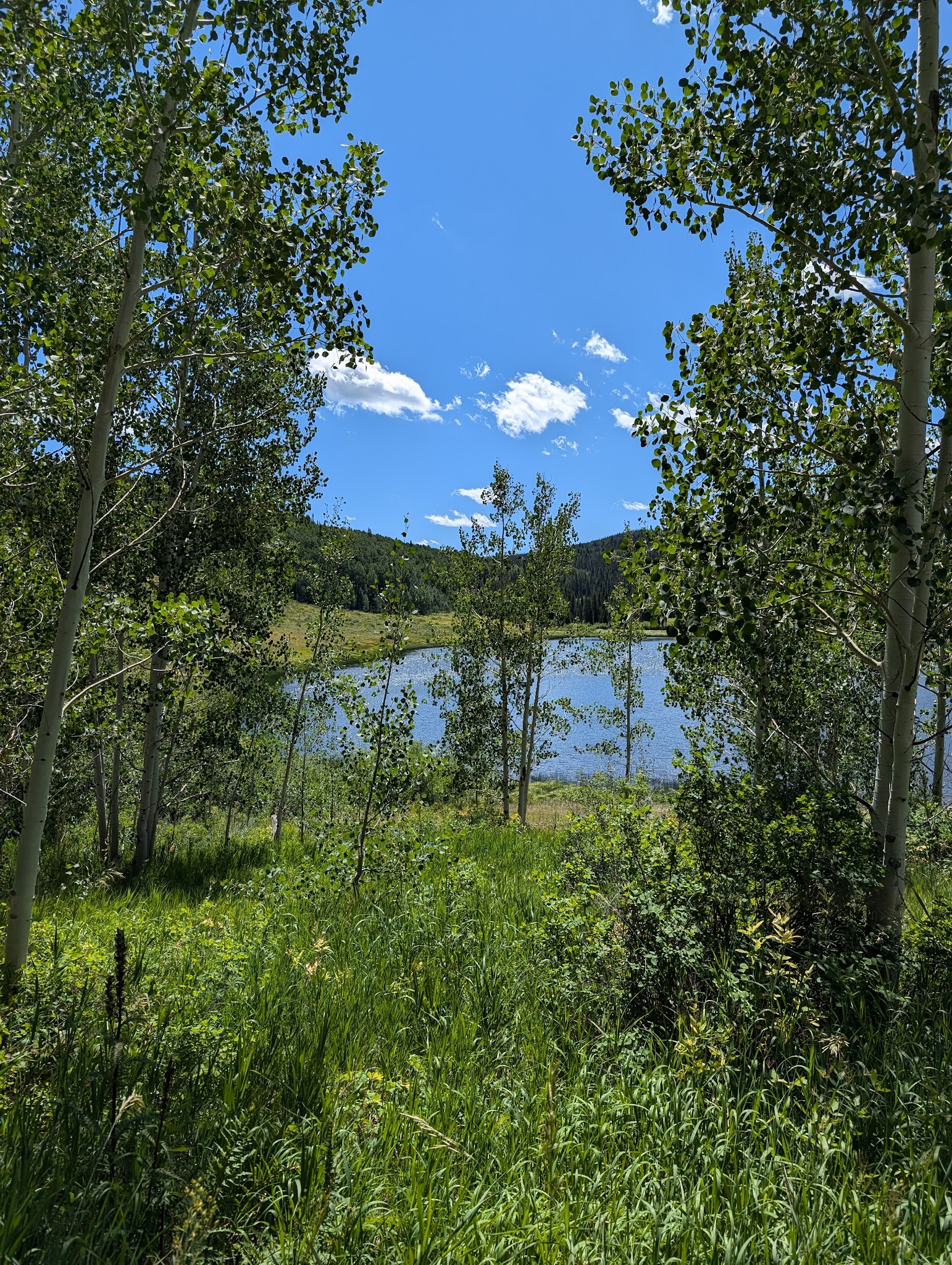 Chapman Reservoir Campground