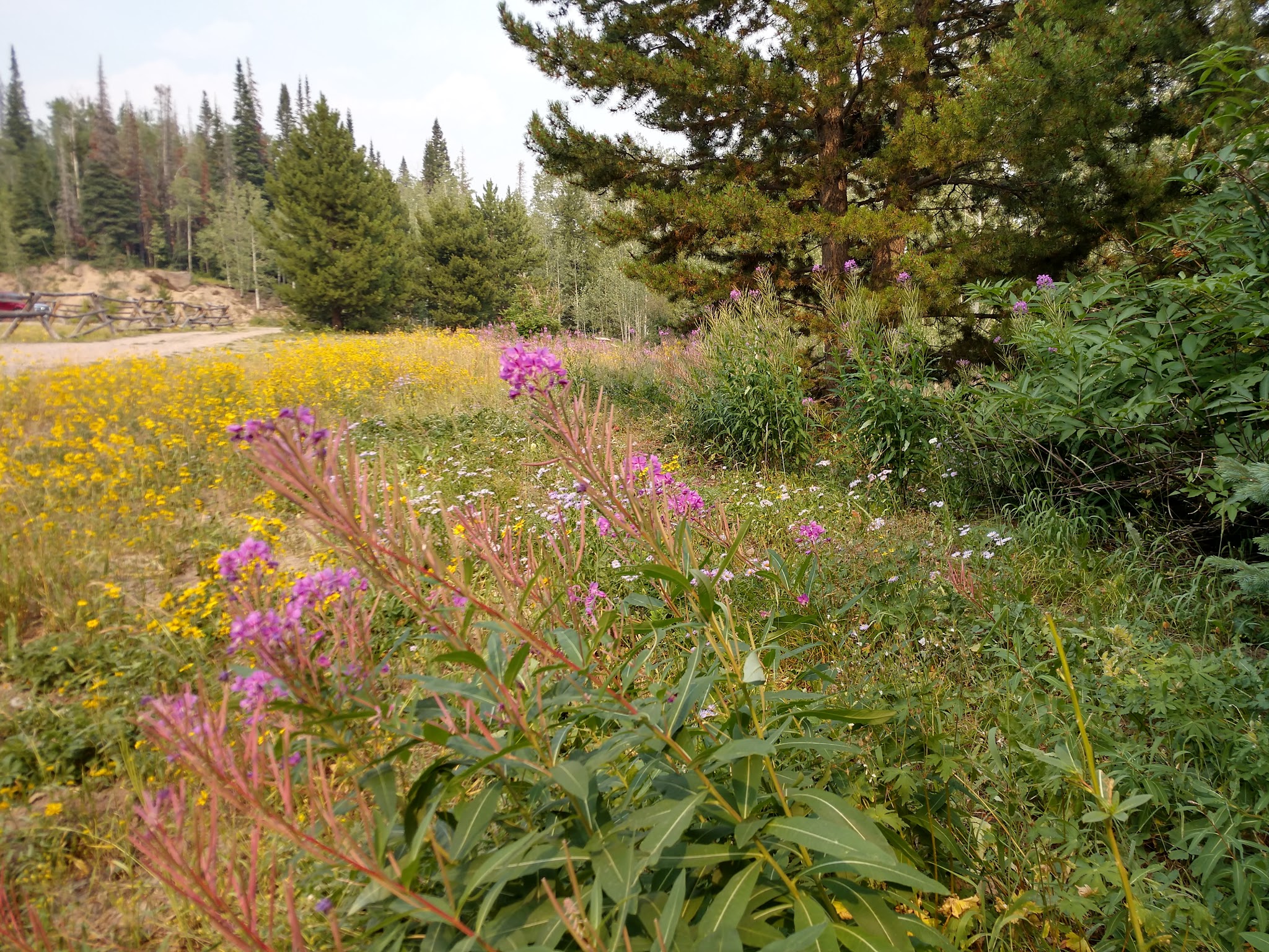 Chapman Reservoir Campground