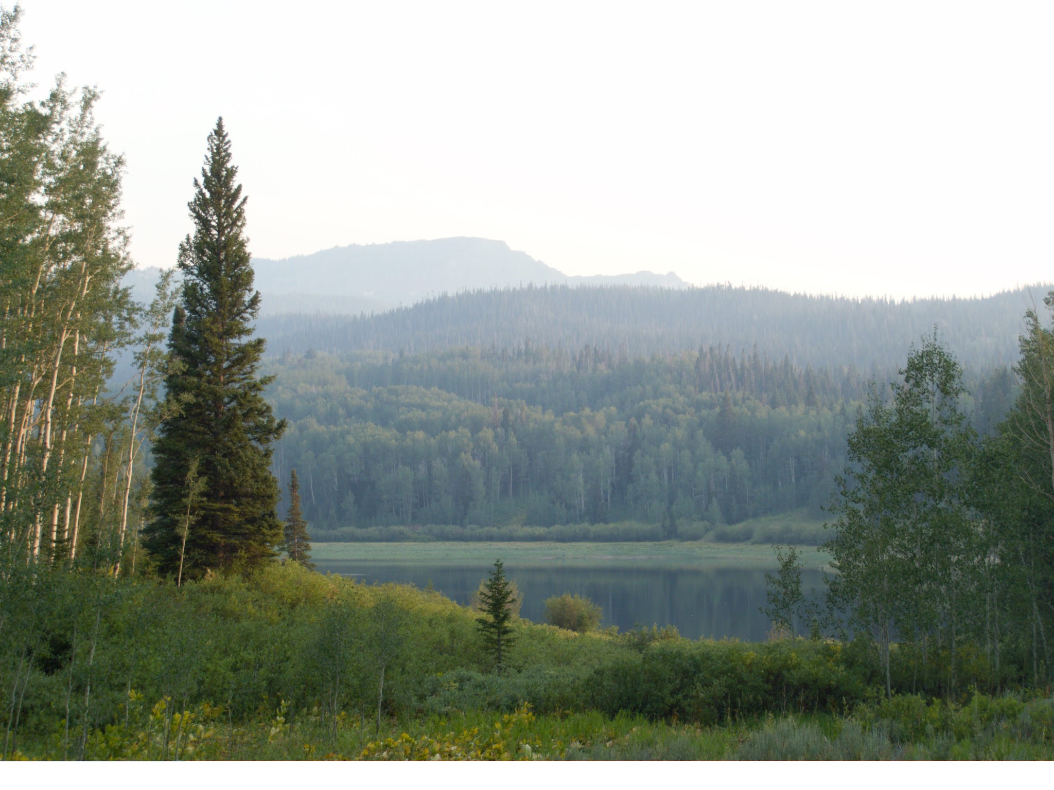 Chapman Reservoir Campground