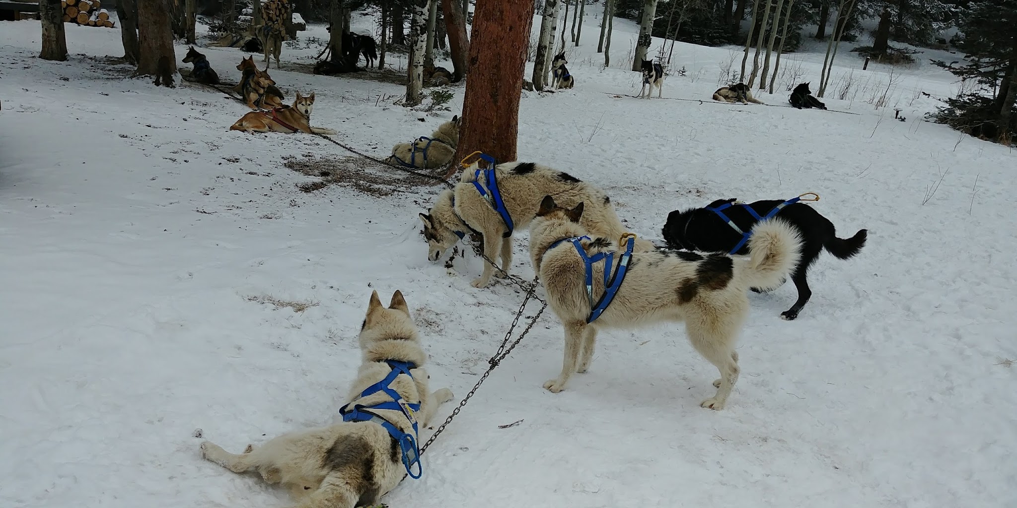 Chapman Reservoir Campground
