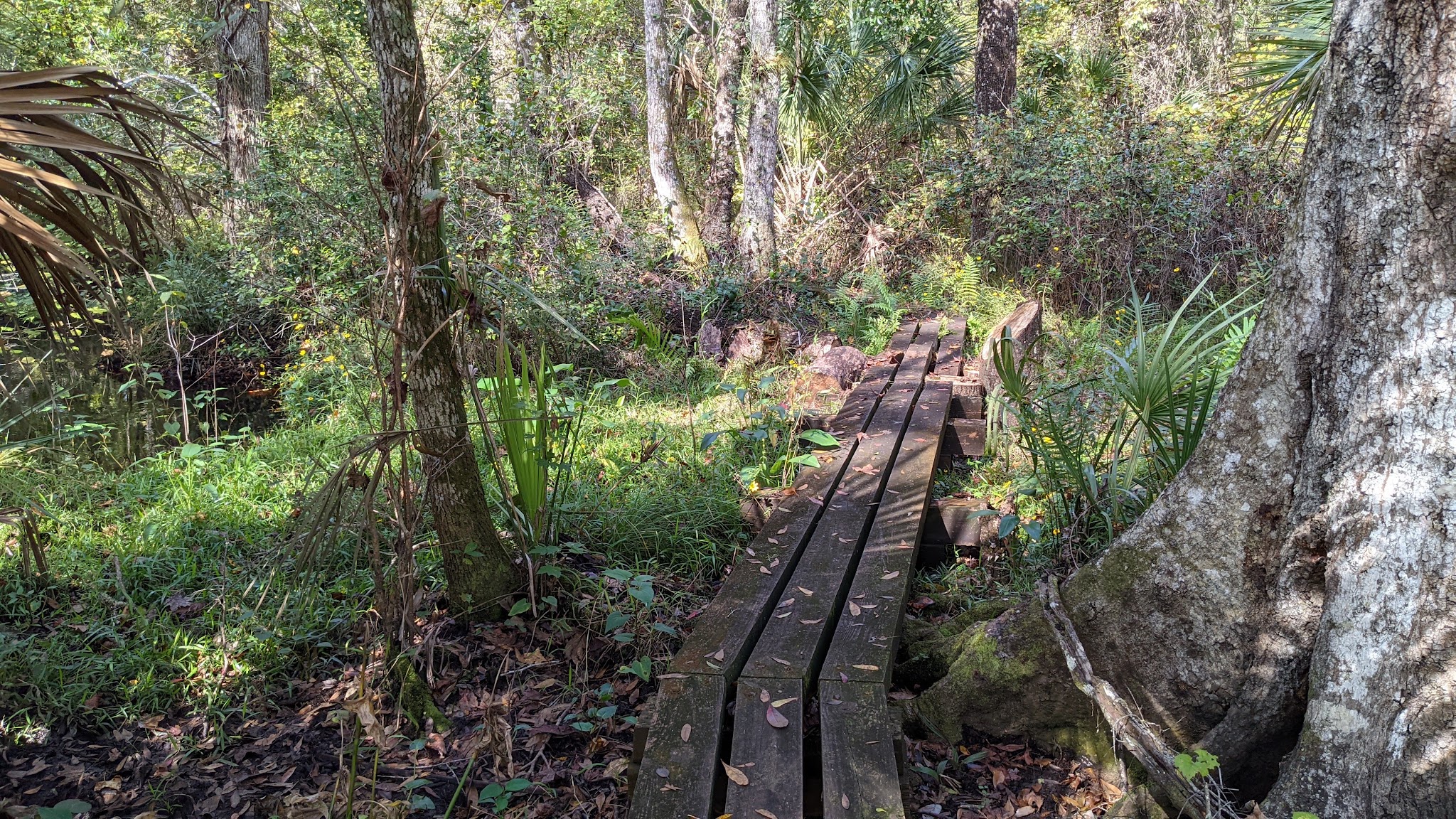 Charles H. Bronson Primitive Campsites